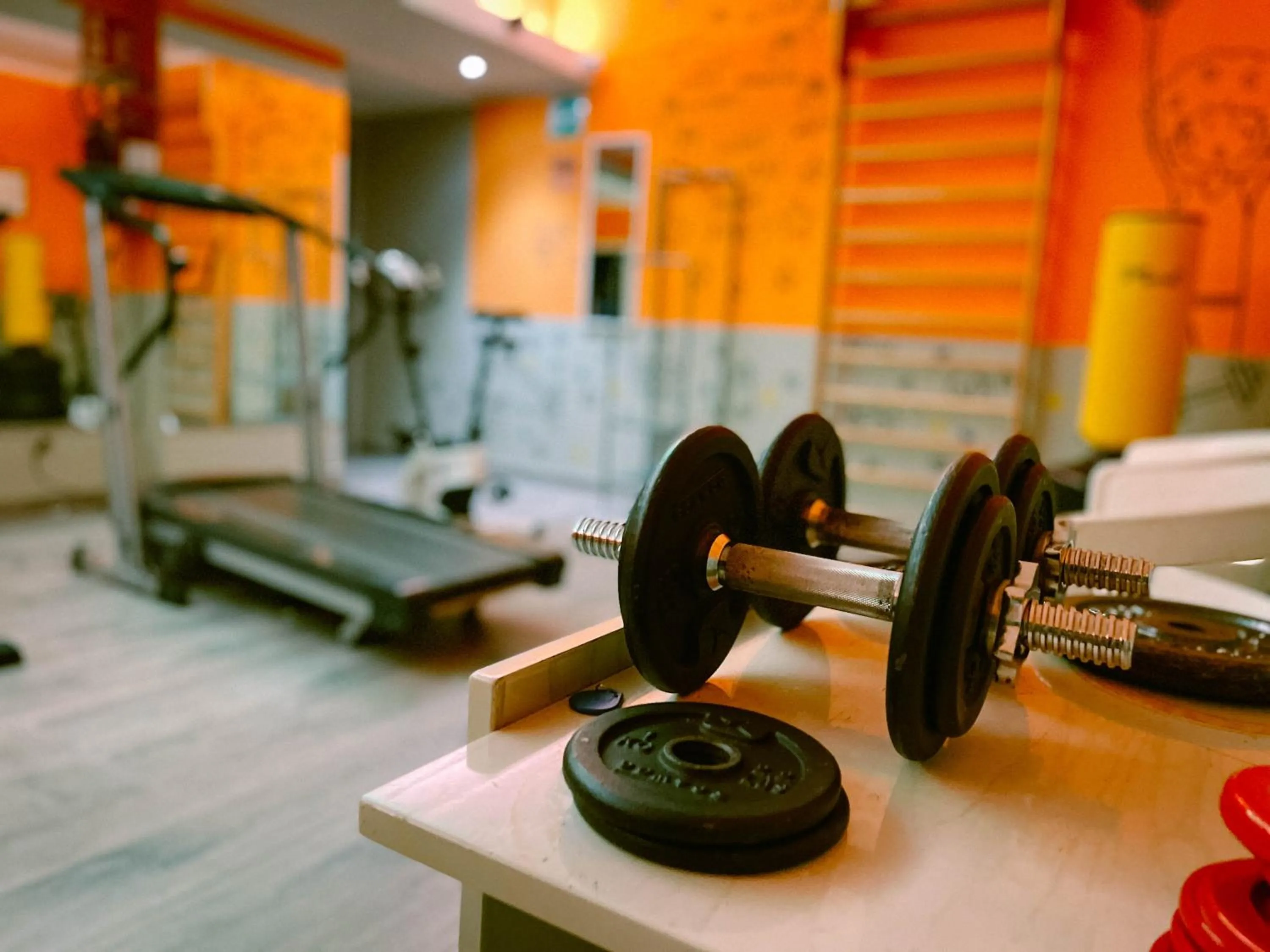 Fitness centre/facilities in Hotel Britannia
