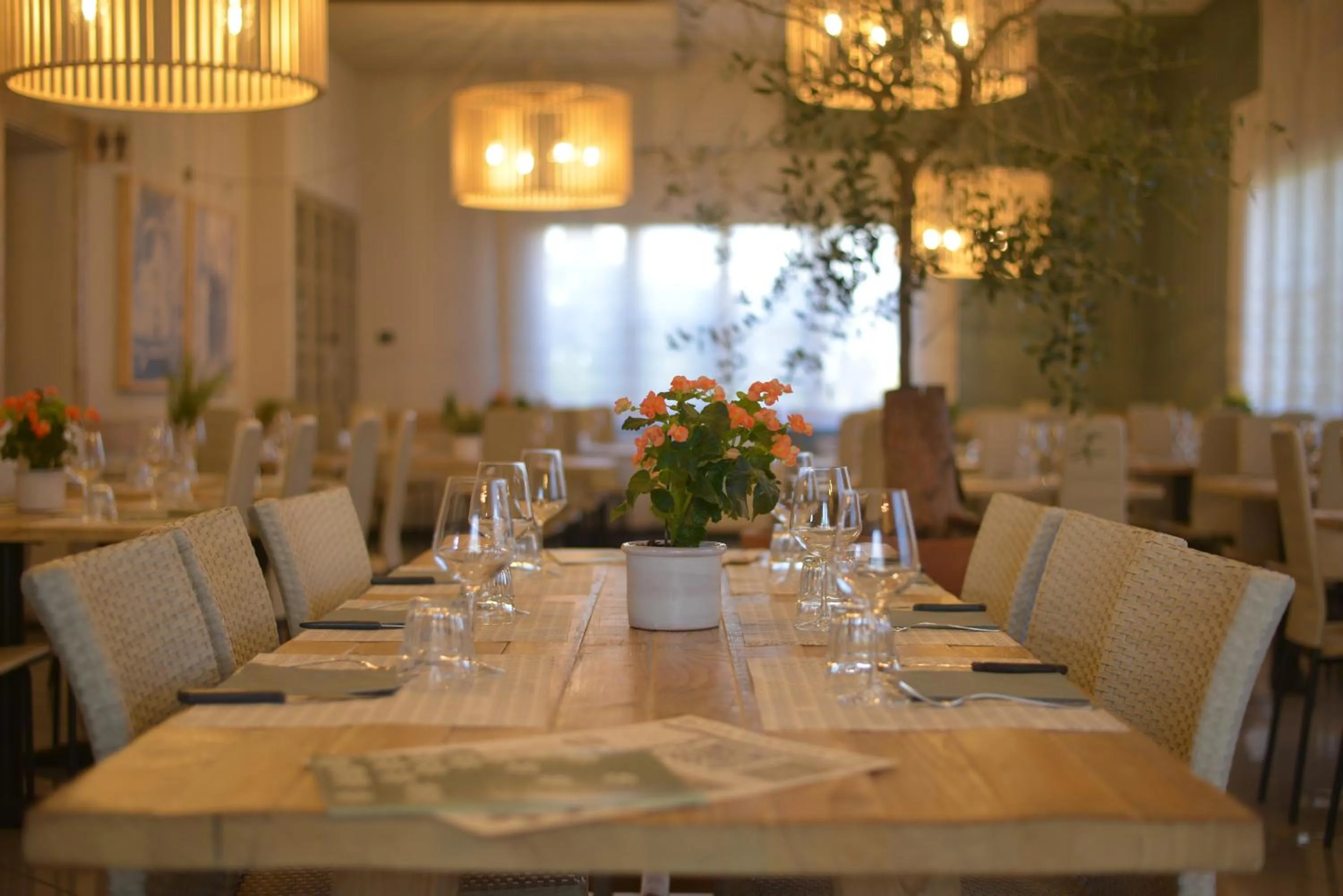 Restaurant/places to eat in Hotel Residence La Ventola