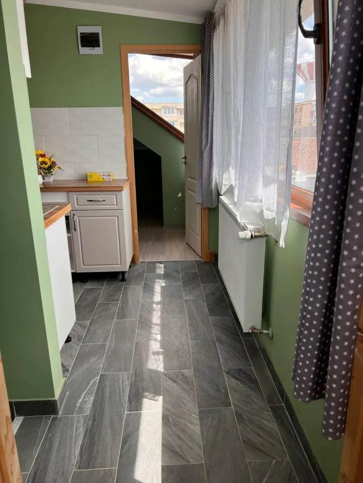 Kitchen or kitchenette in Premont Studios Ghimbav