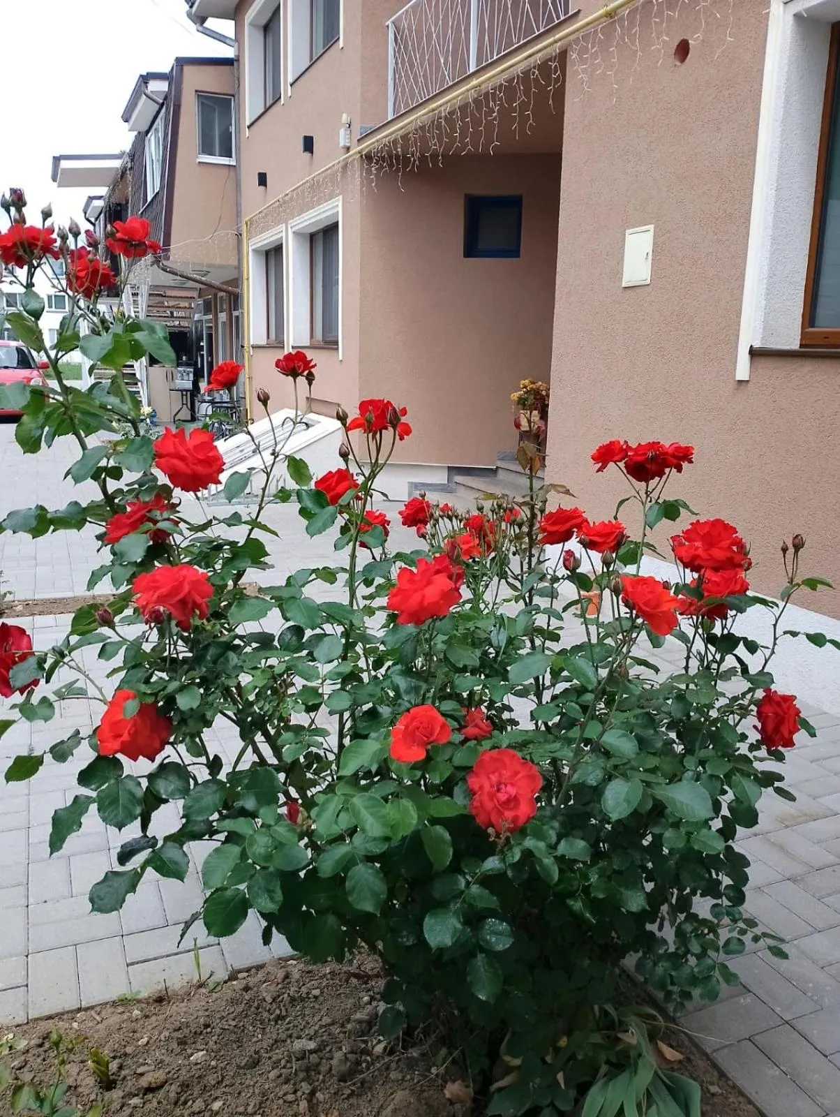 Premont Studios Ghimbav