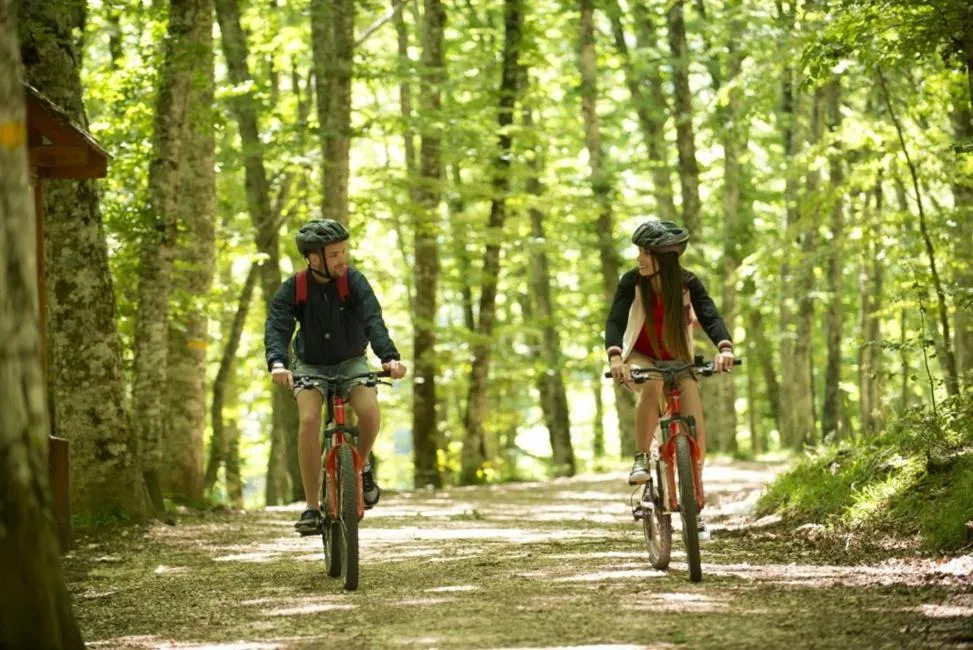 Cycling in Hotel Vela Velo Club Vieste