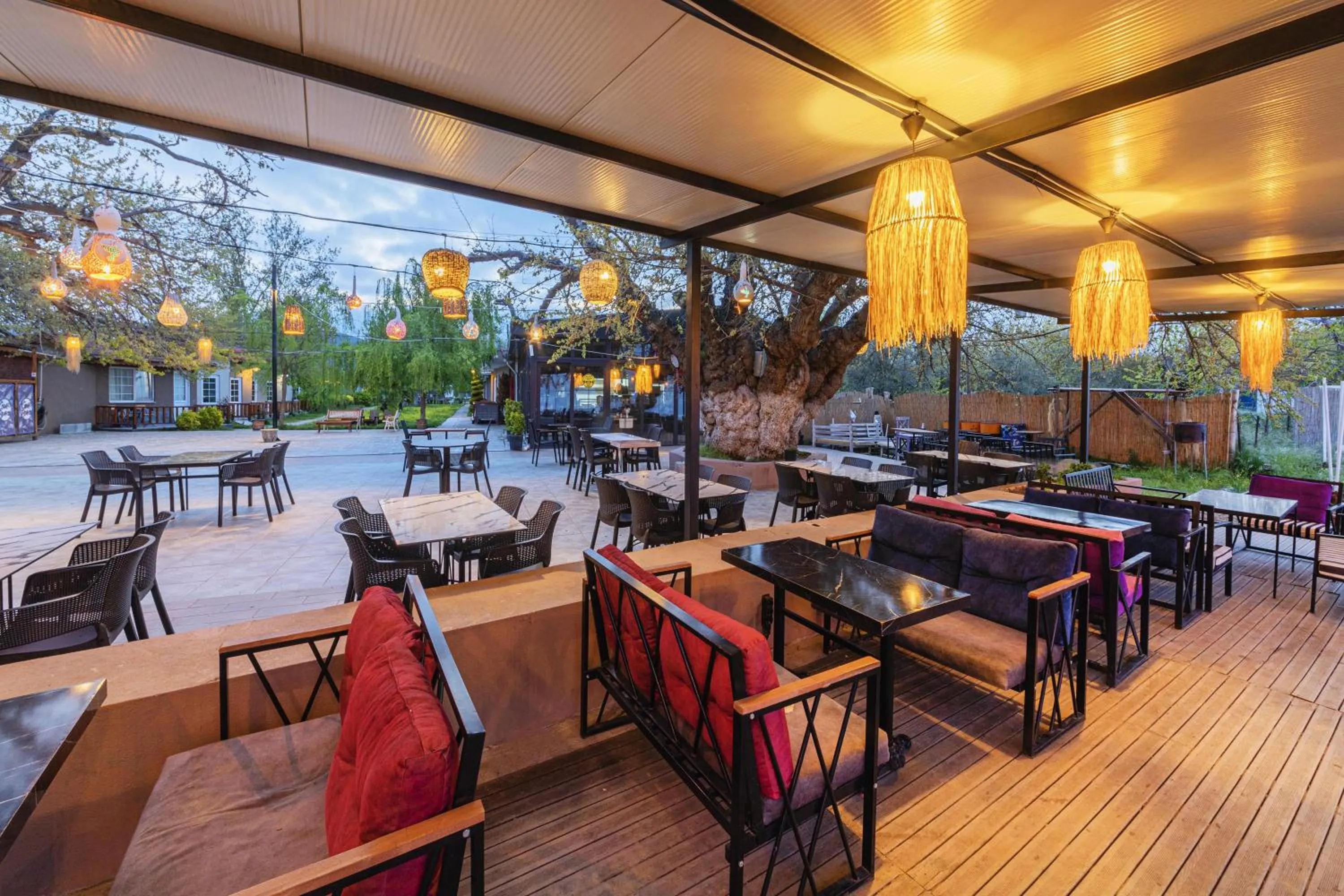 Restaurant/places to eat in KİRAZ BEACH OTEL