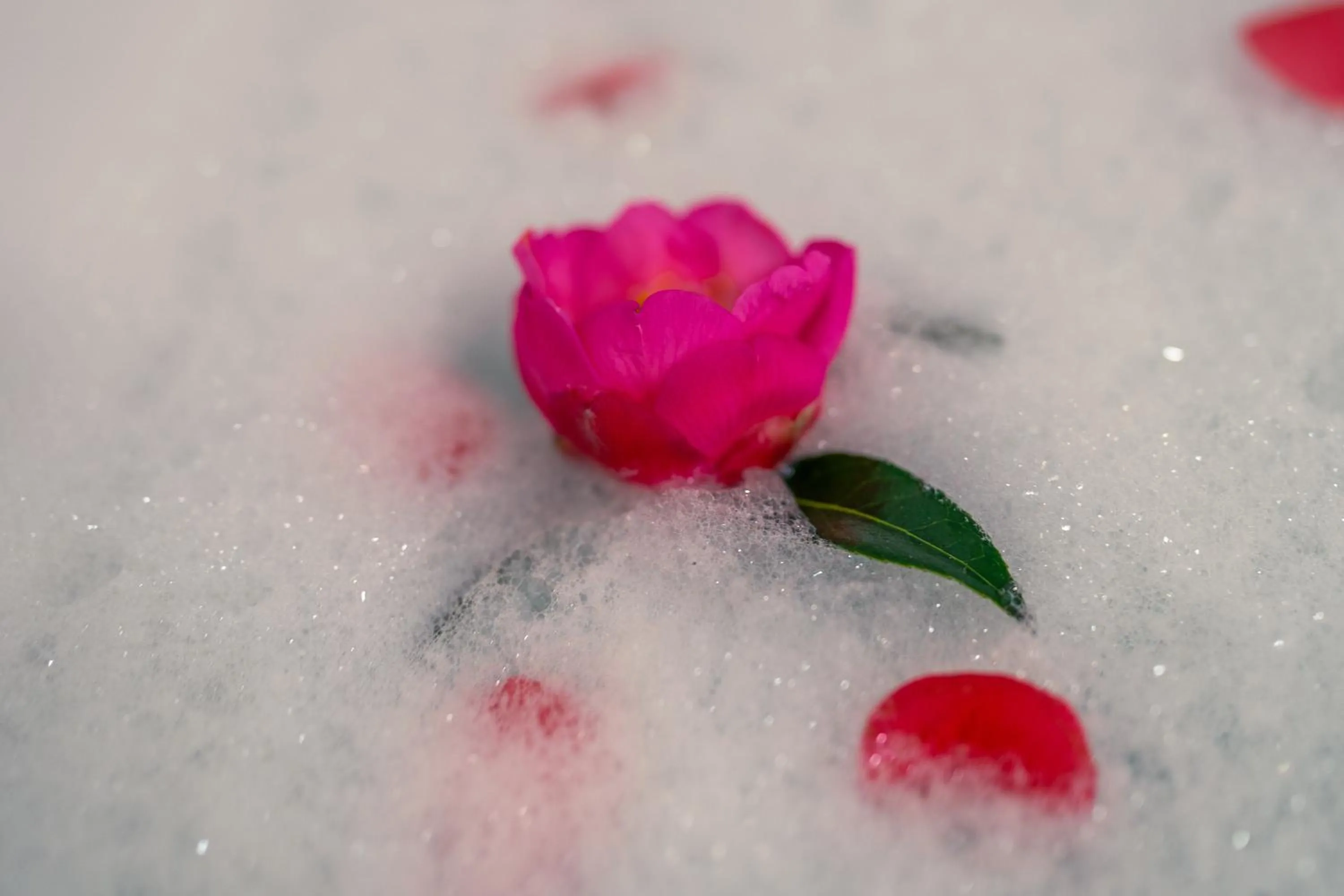 Bathroom in Le Pommier