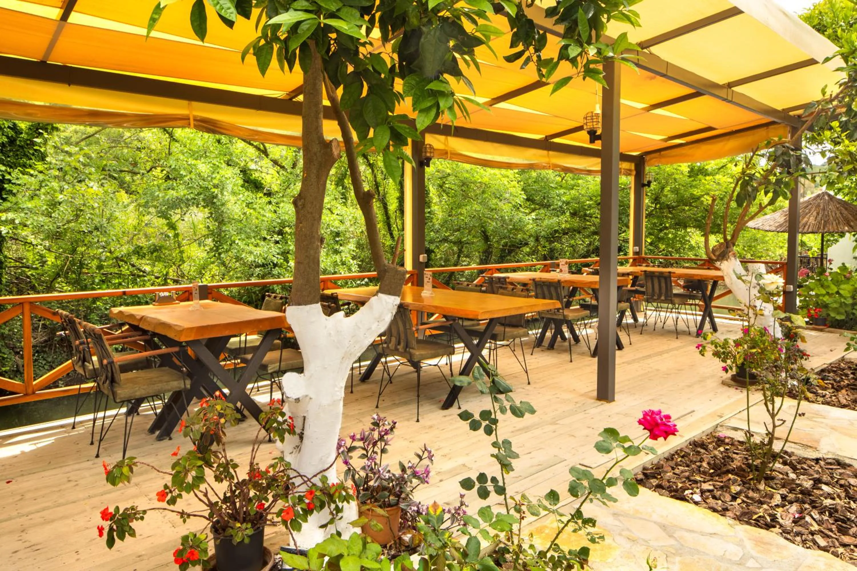 Breakfast in Orange Garden Hotel Akyaka