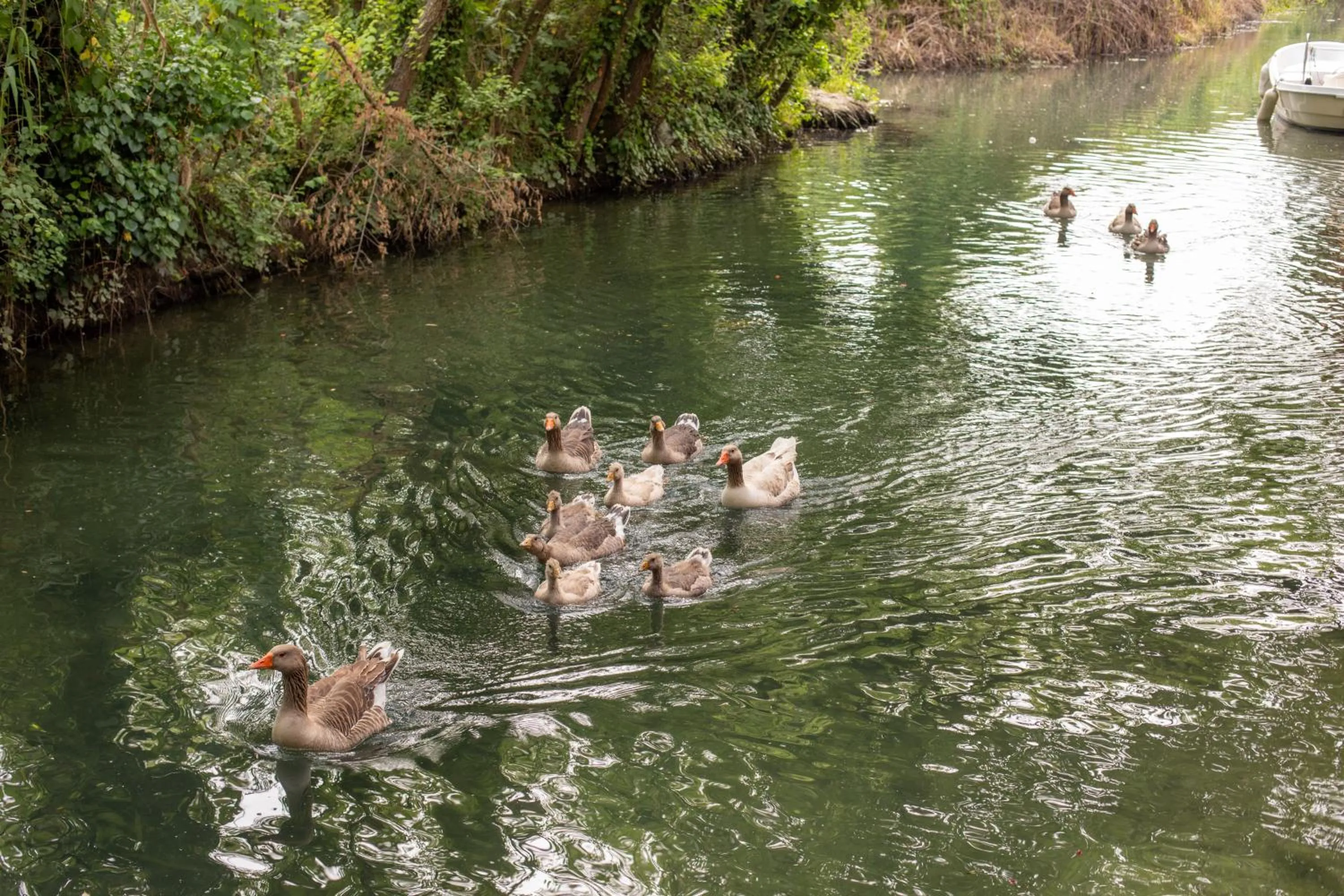 Natural landscape in Orange Garden Hotel Akyaka
