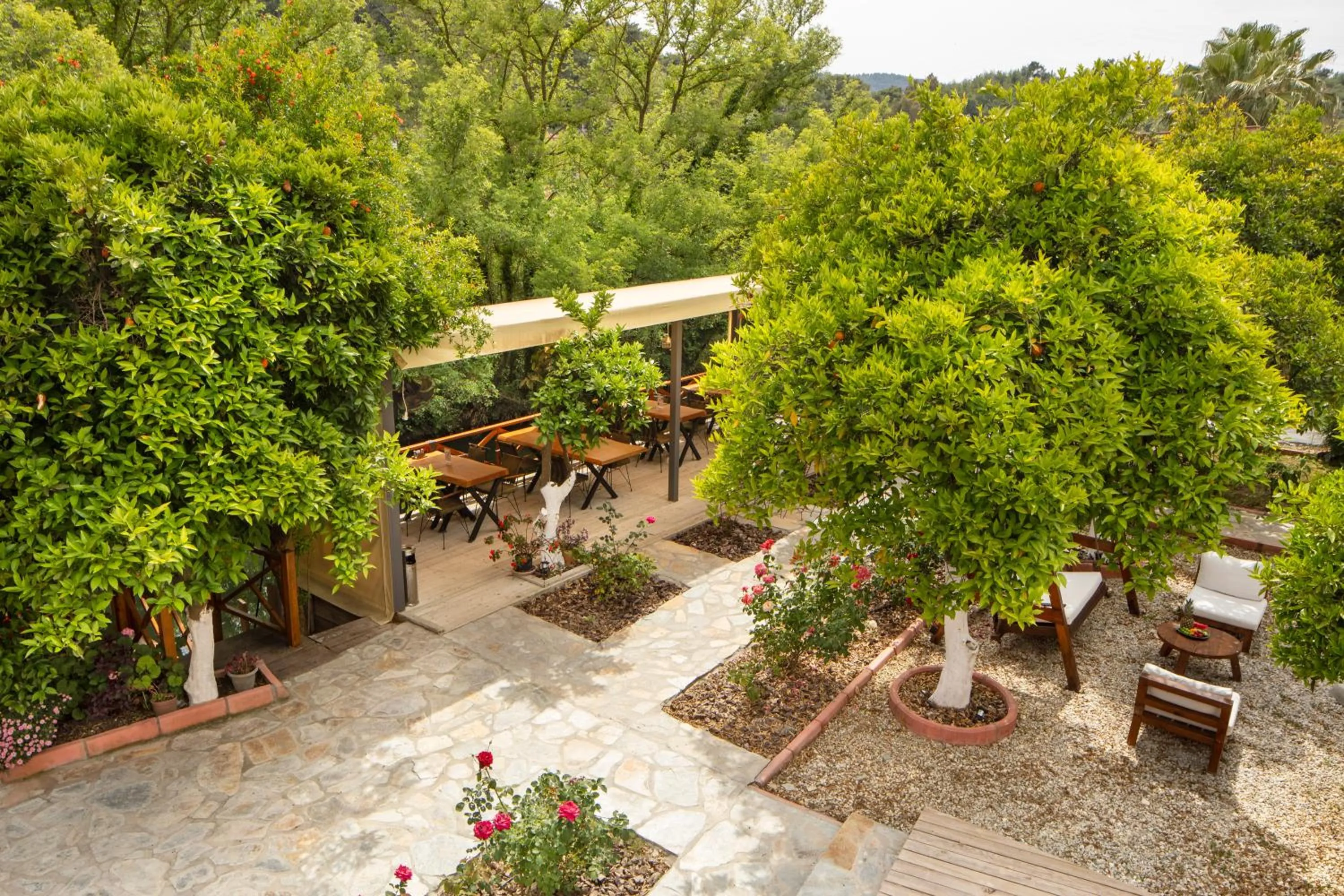 Garden in Orange Garden Hotel Akyaka