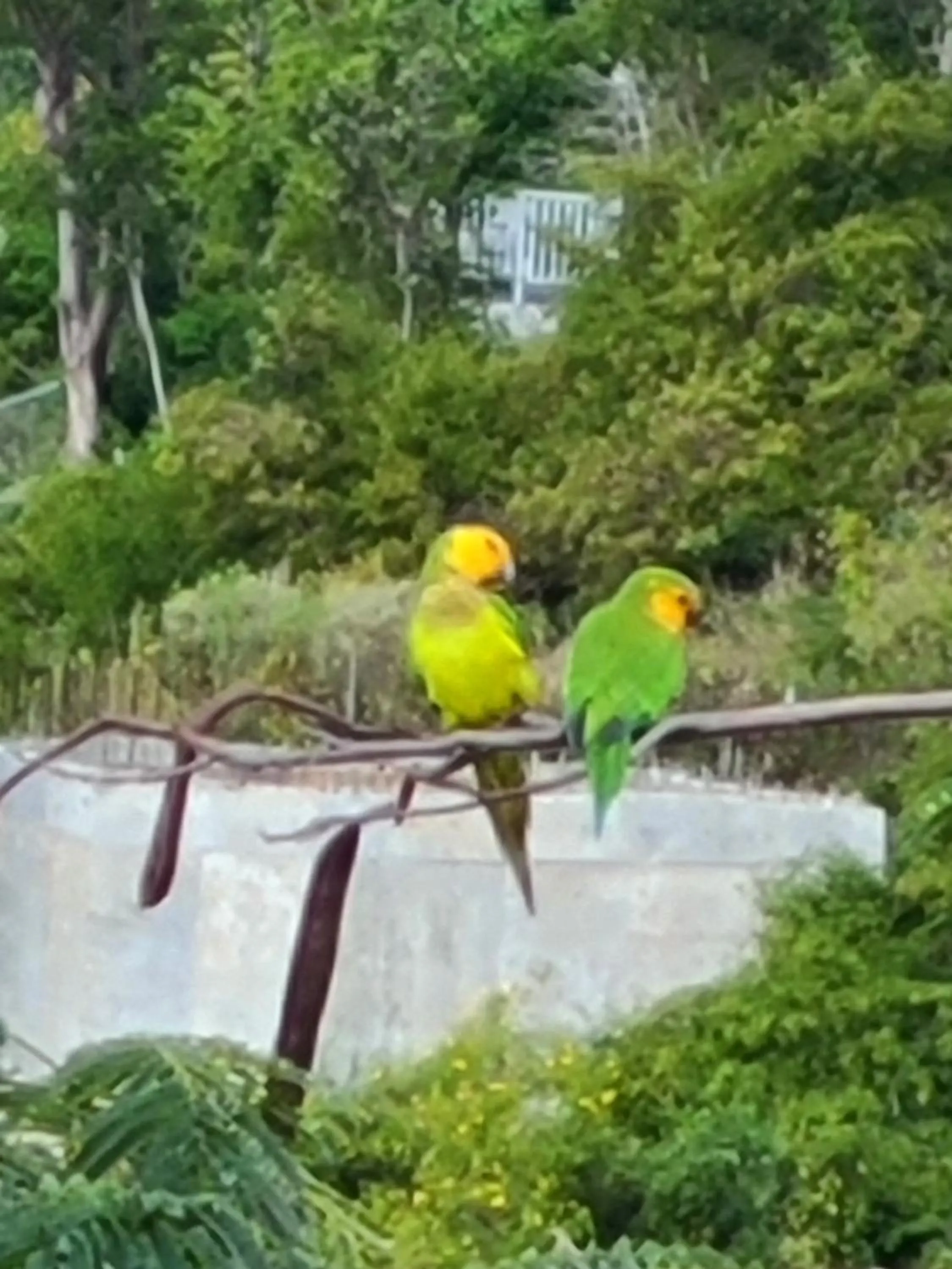 Boundless Bliss Hotel