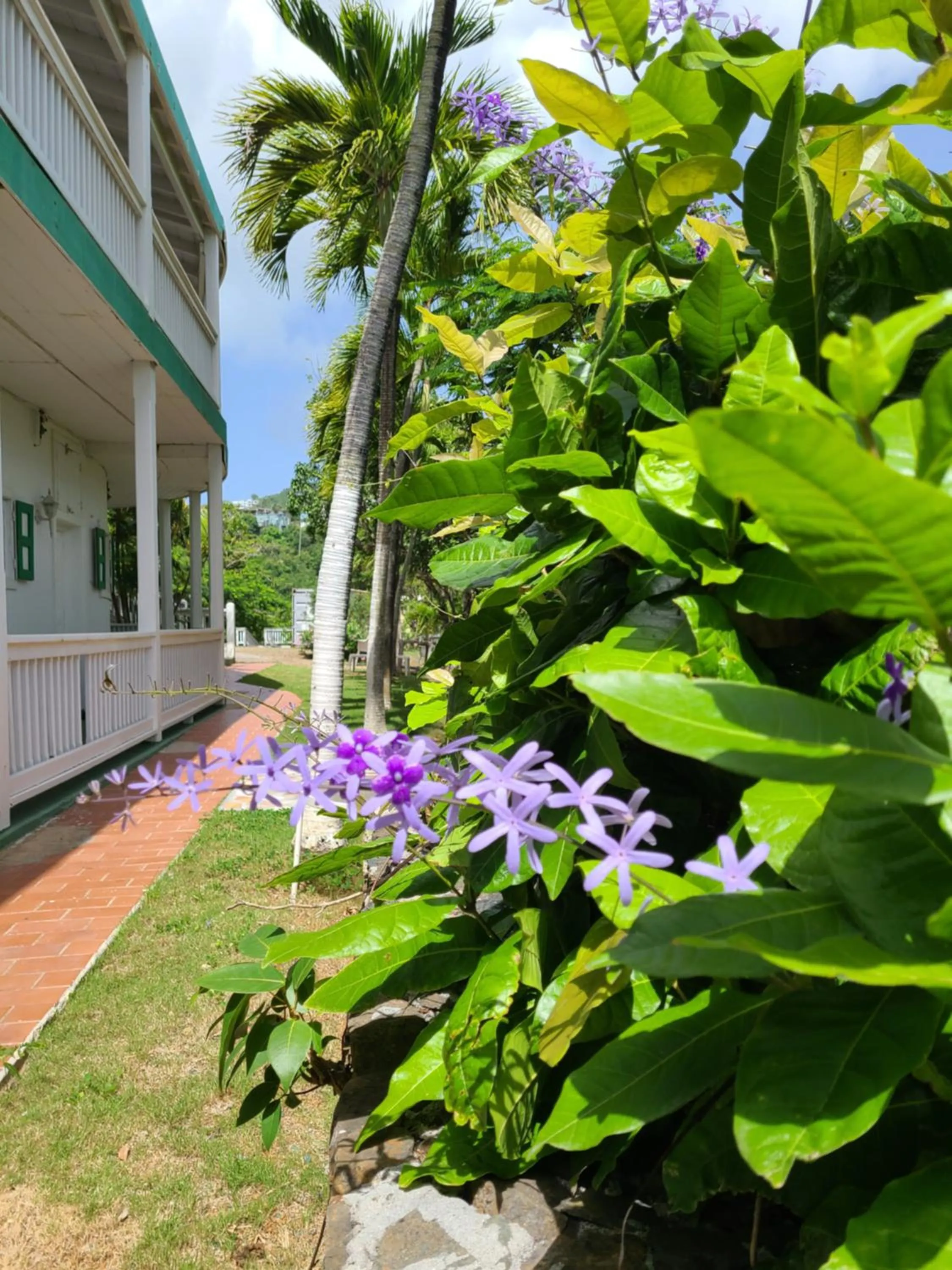 Lobby or reception in Boundless Bliss Hotel