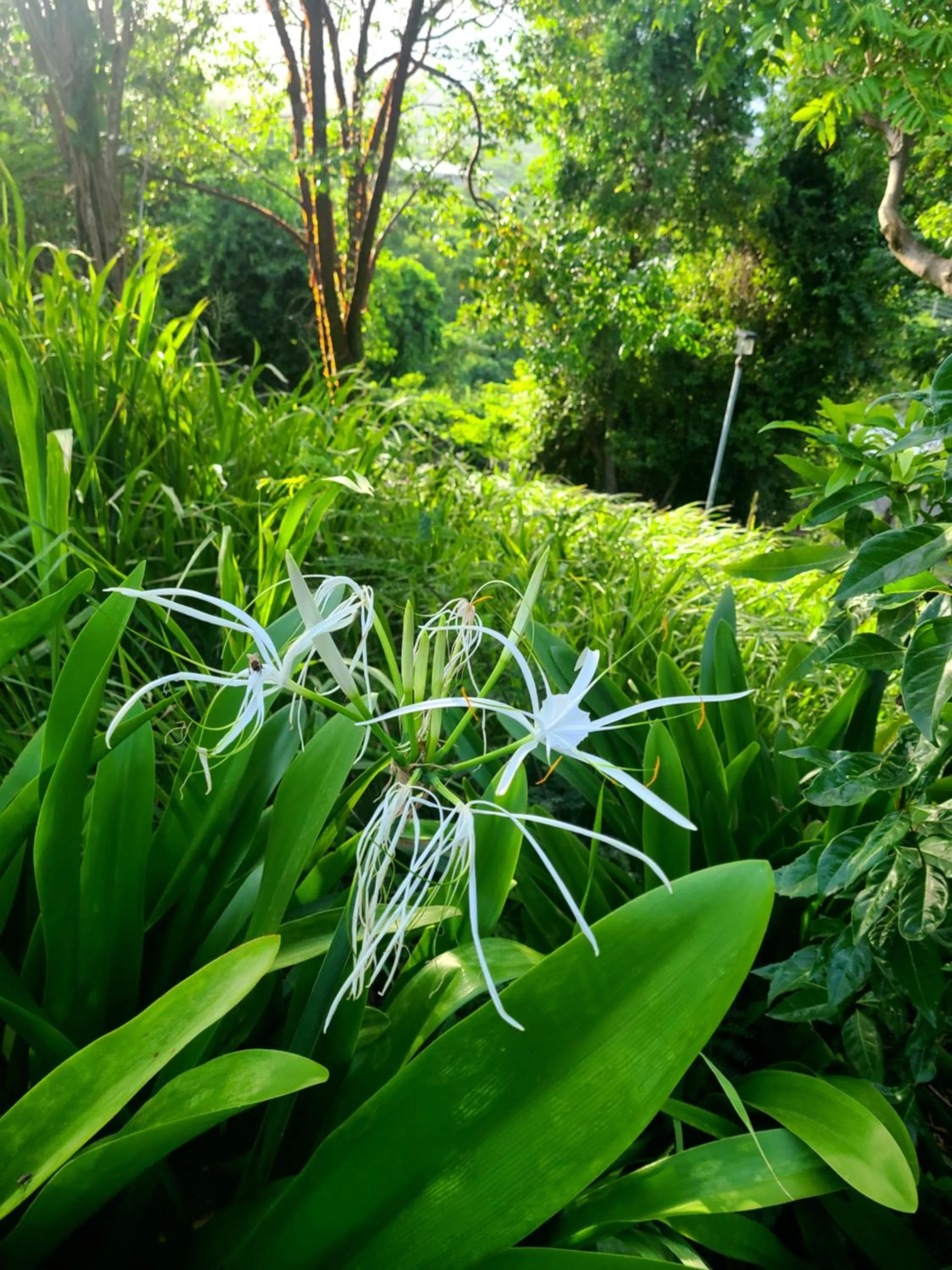 Boundless Bliss Hotel