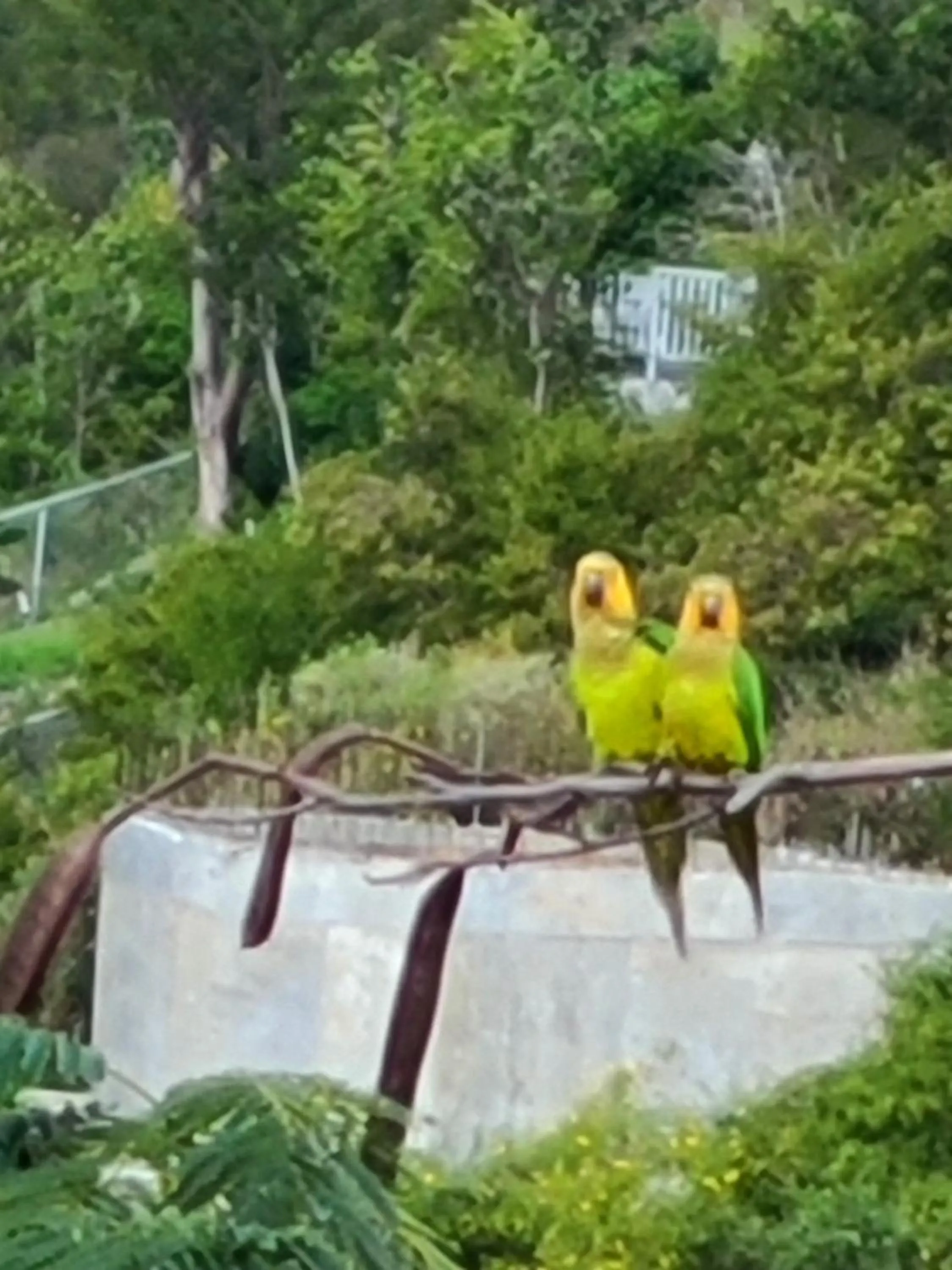 Boundless Bliss Hotel