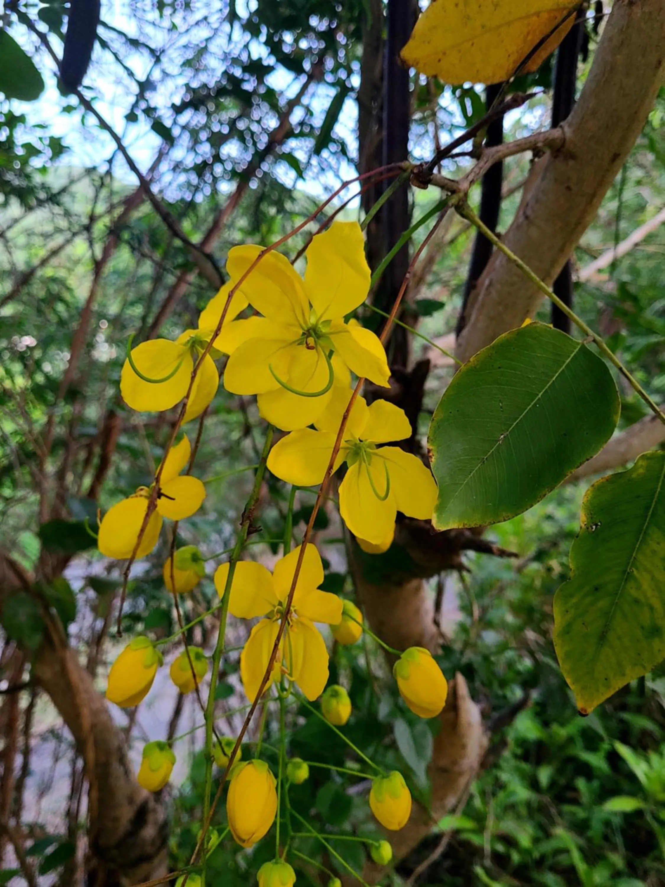 Boundless Bliss Hotel