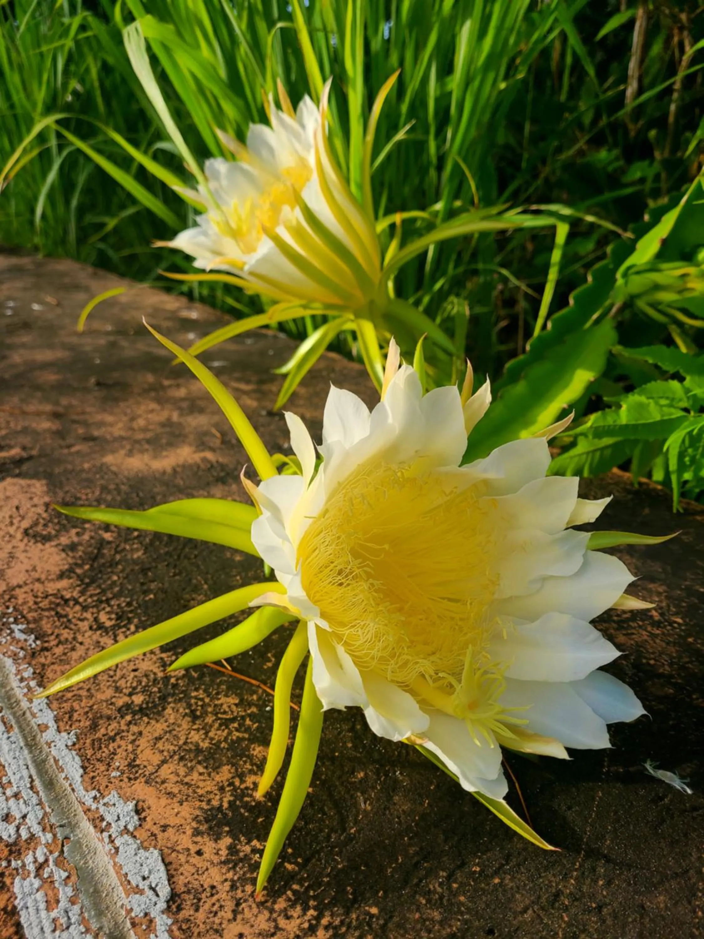 Boundless Bliss Hotel