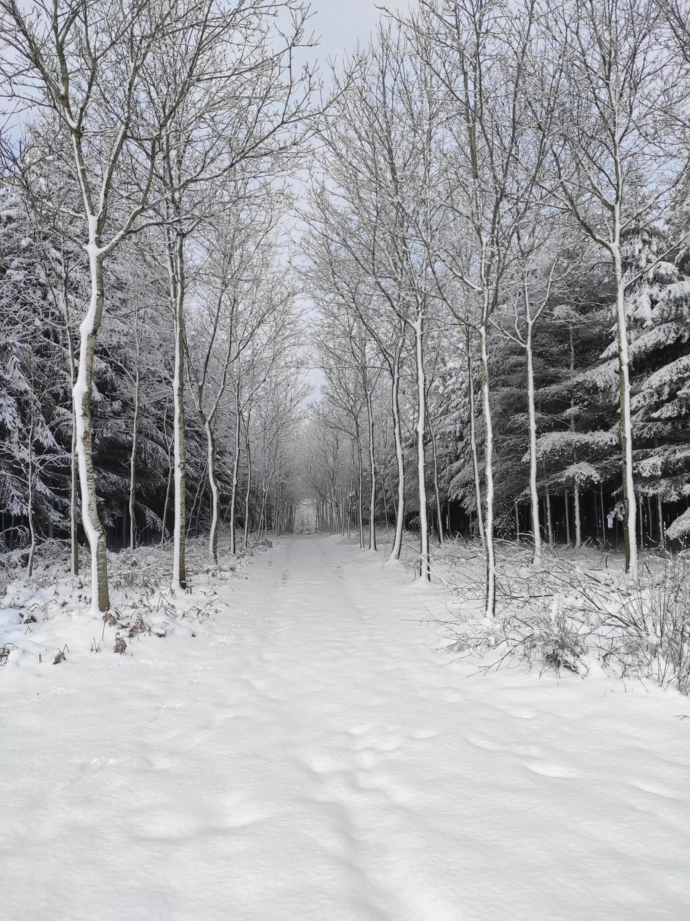Natural landscape in B&B Emmylou
