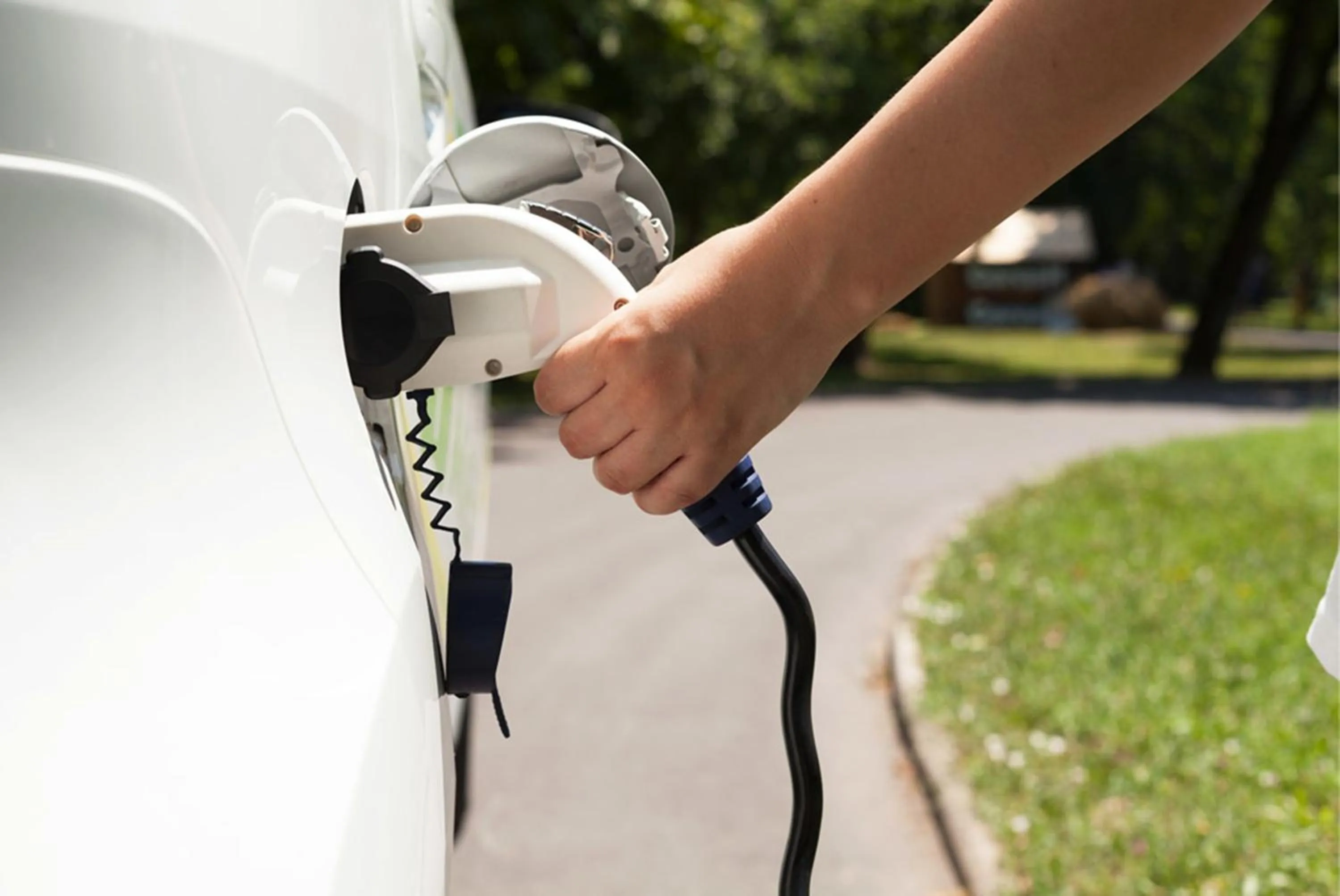 Area and facilities in Hotel Club Saraceno - Bovis Hotels