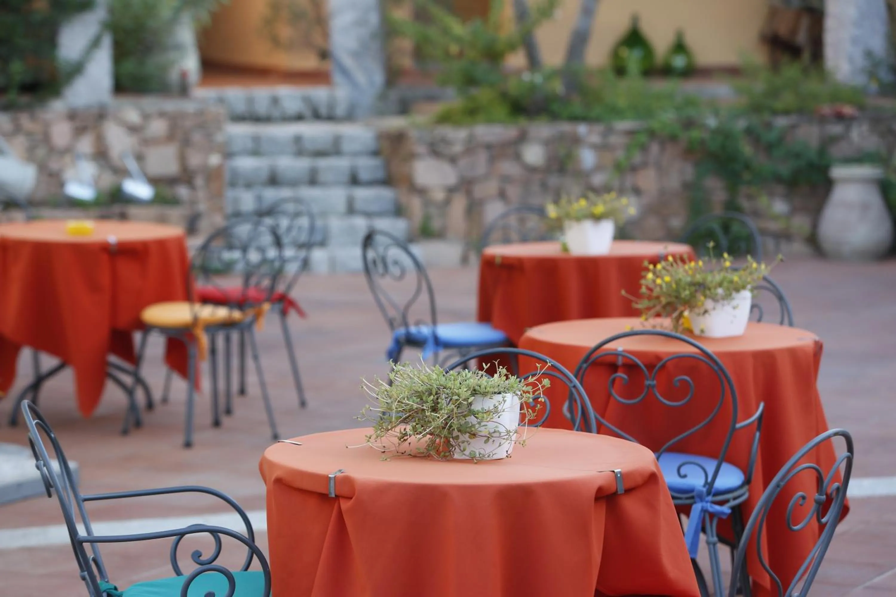Garden in Hotel Club Saraceno - Bovis Hotels