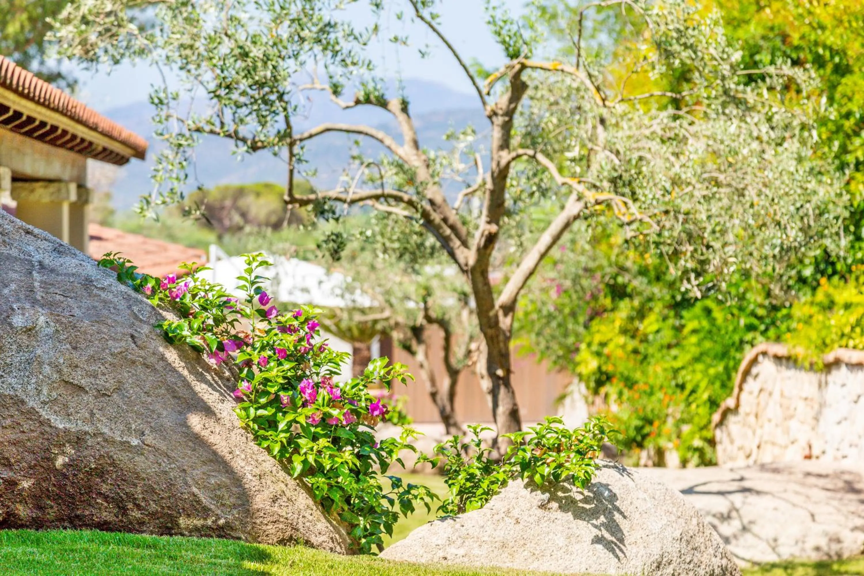 Garden in Hotel Club Saraceno - Bovis Hotels