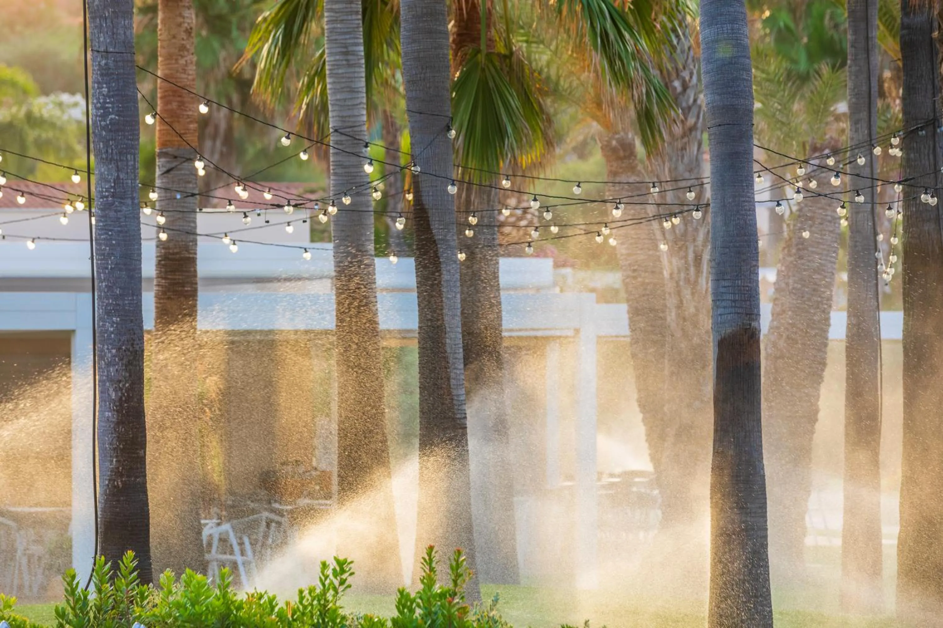 Garden in Hotel Club Saraceno - Bovis Hotels