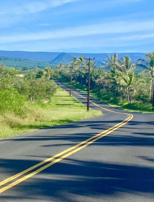 Natural landscape in Black Sands Beach Condo with Full Kitchen