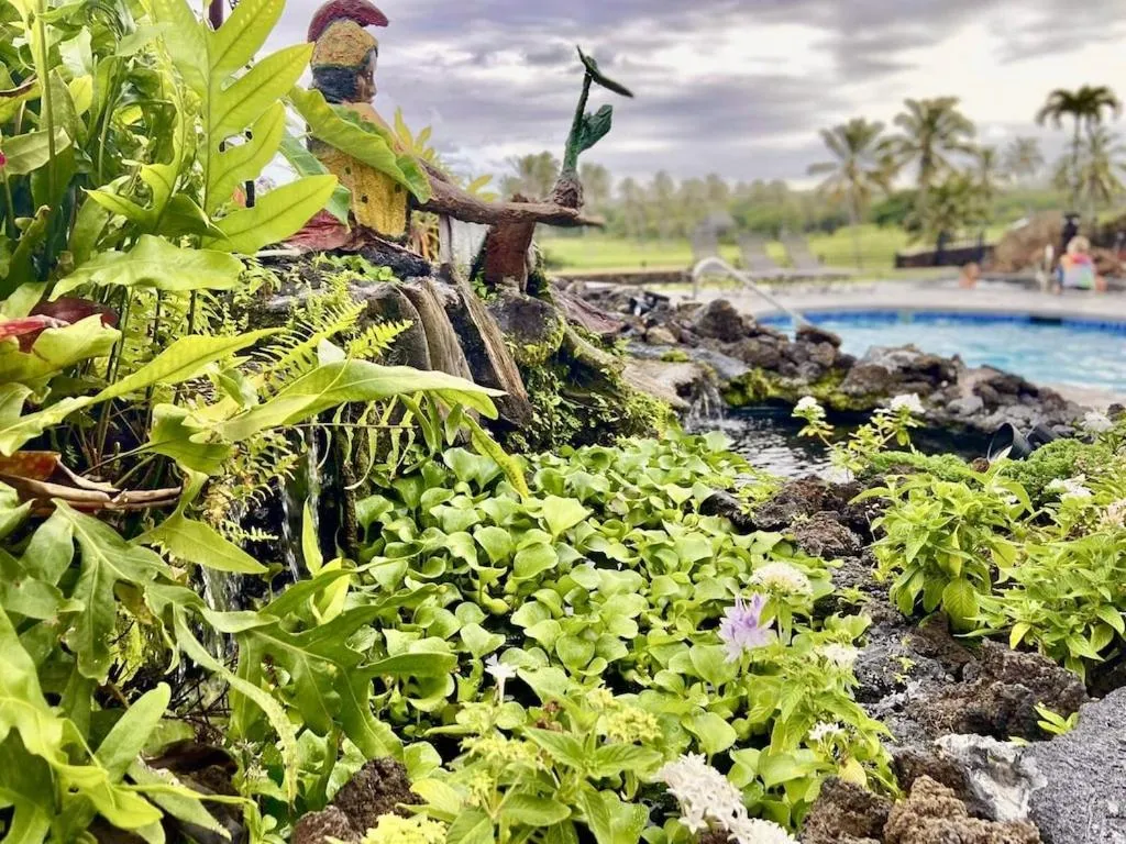 Natural landscape in Black Sands Beach Condo with Full Kitchen