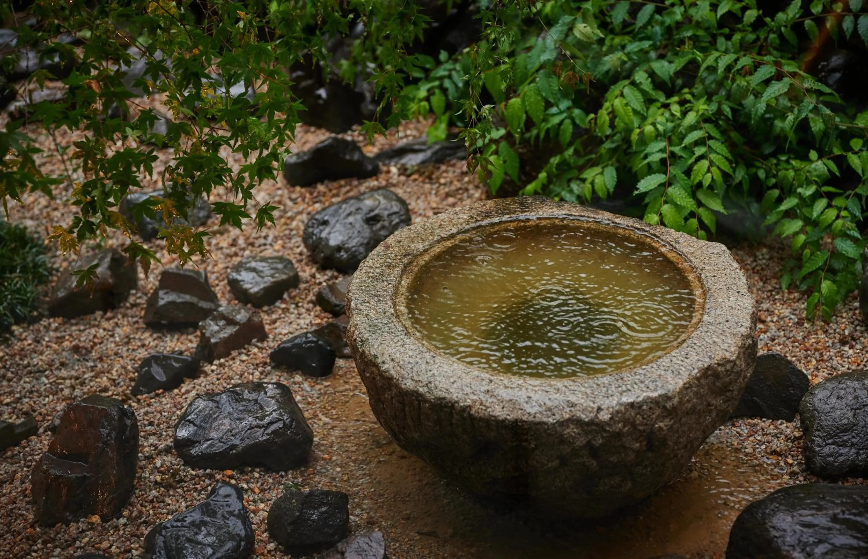 Garden in BYAKU Narai