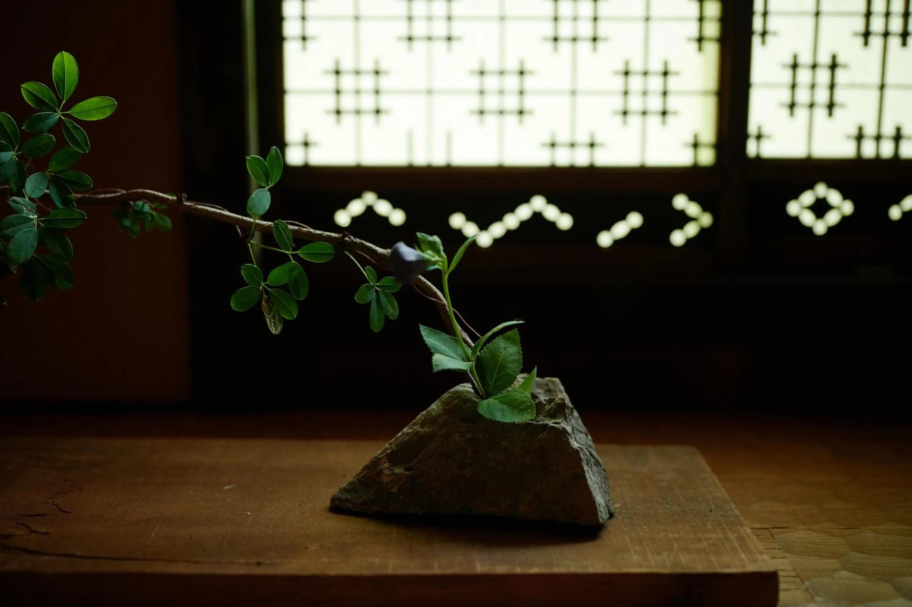 Photo of the whole room in BYAKU Narai