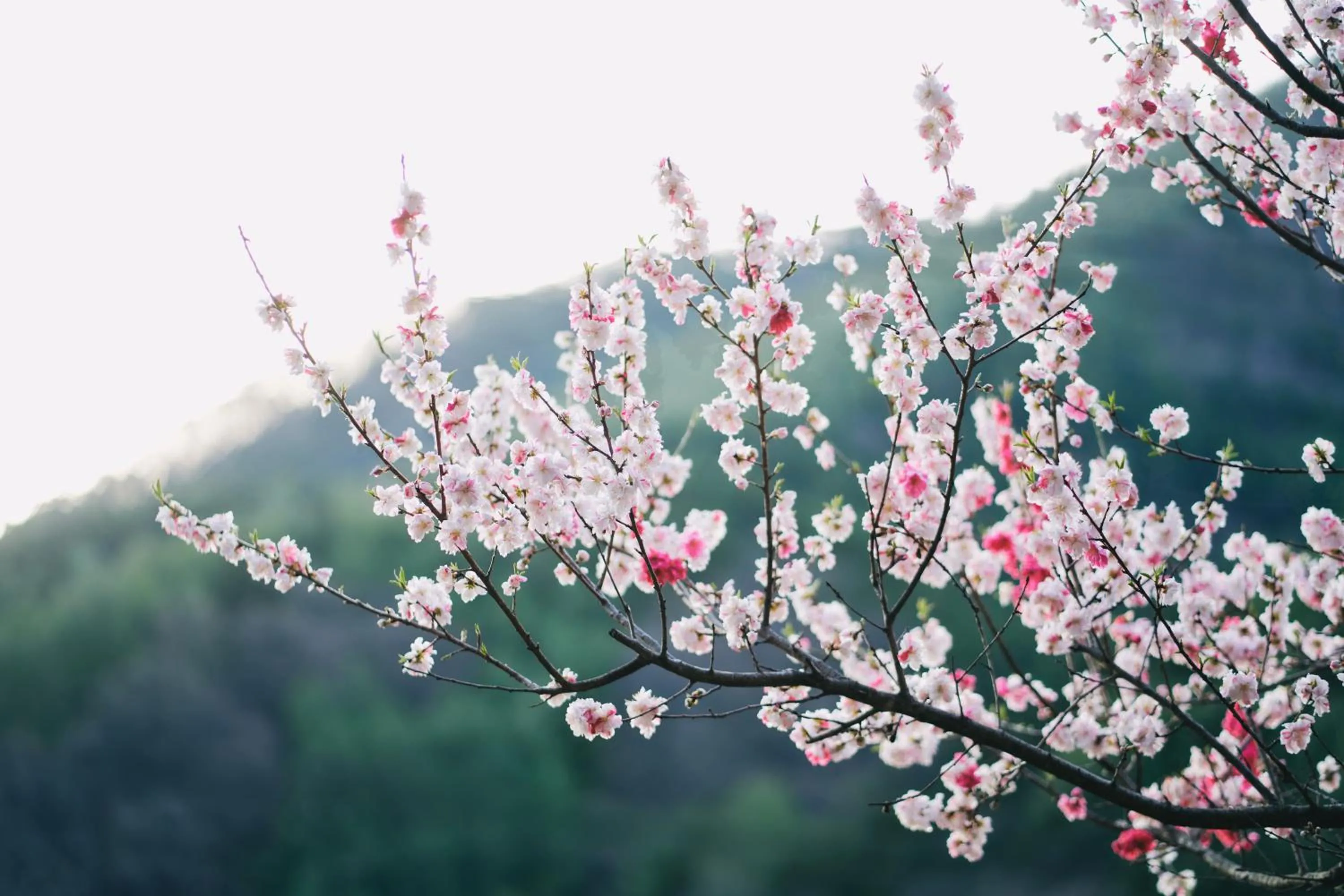 Neighbourhood in BYAKU Narai