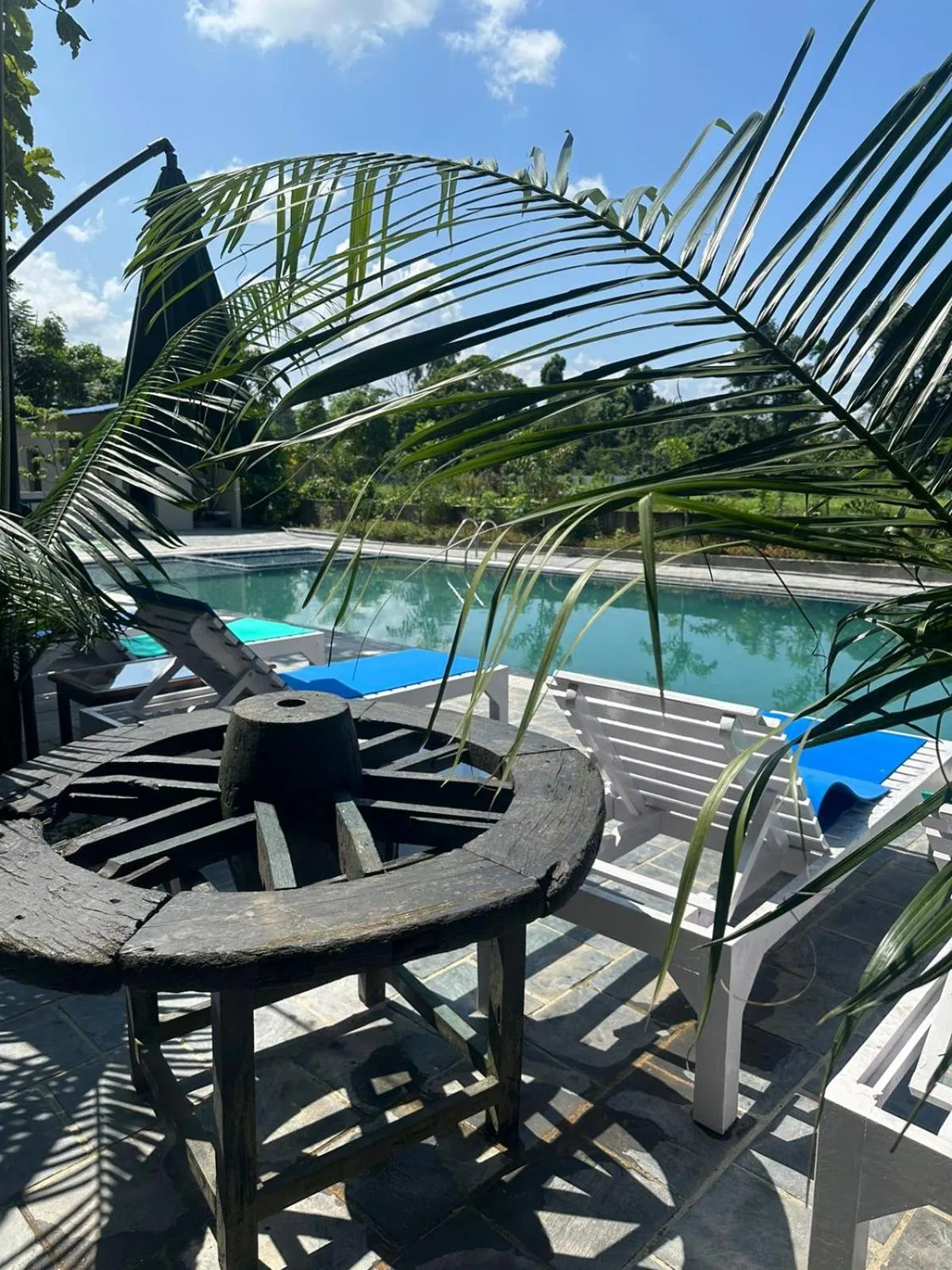 Natural landscape in Hotel Parkside