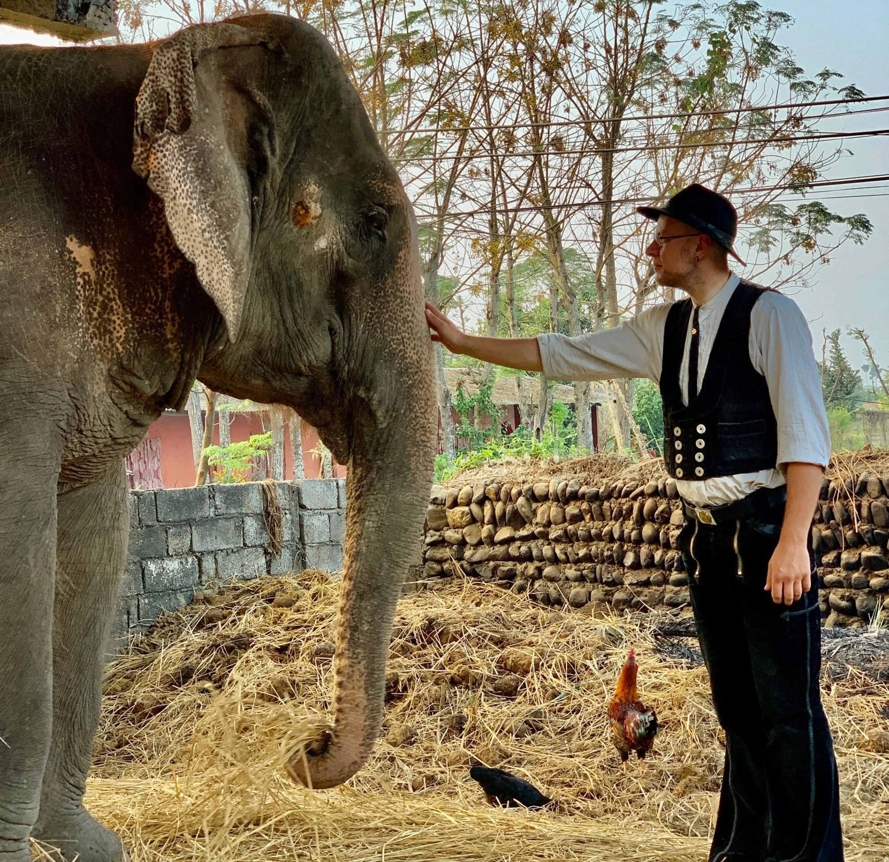 Day in Hotel Parkside