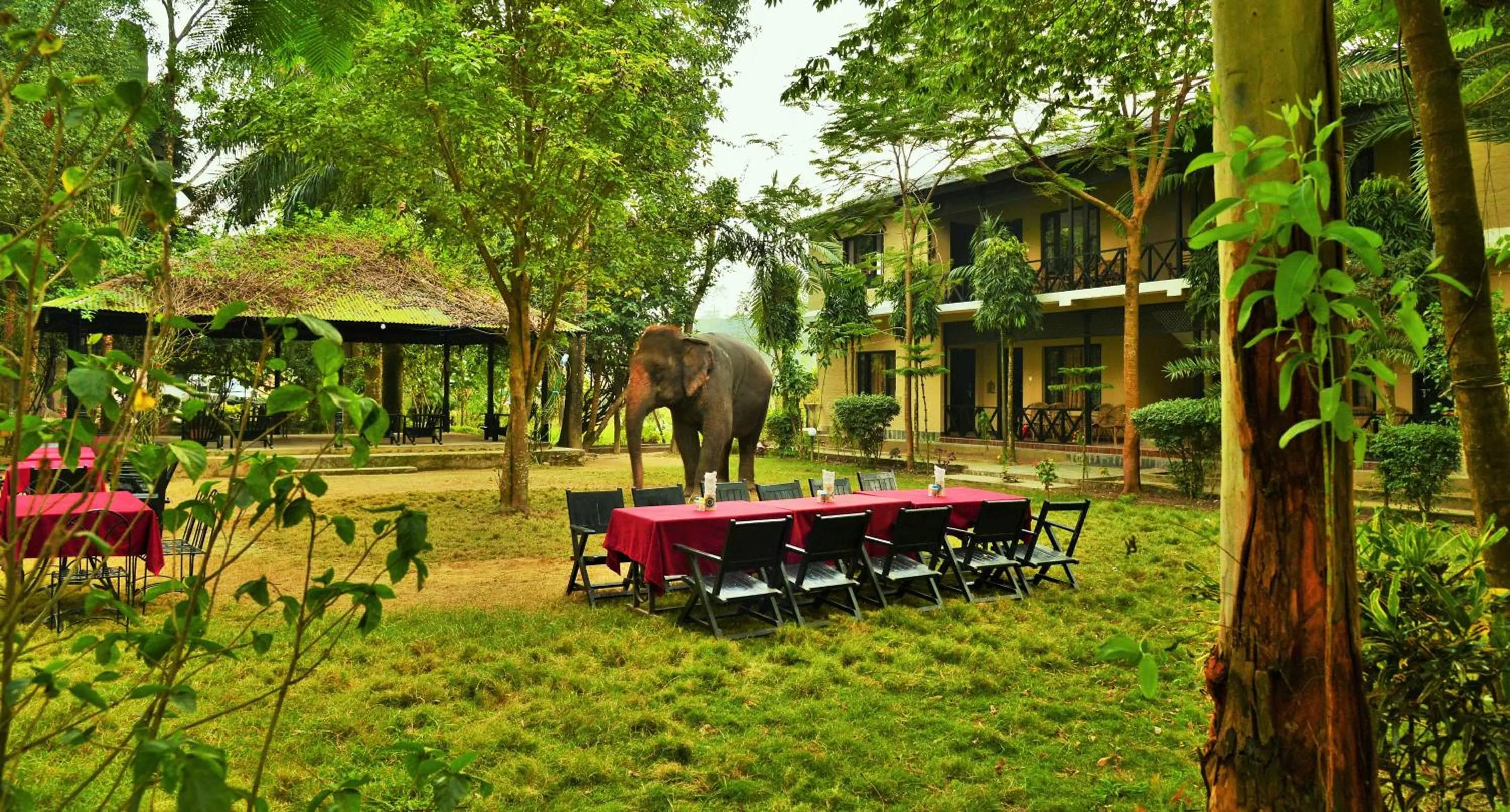 Day in Hotel Parkside