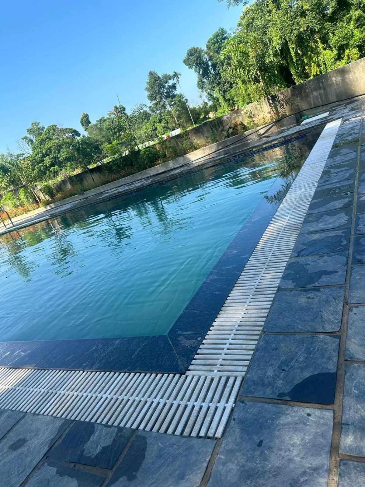 Pool view in Hotel Parkside