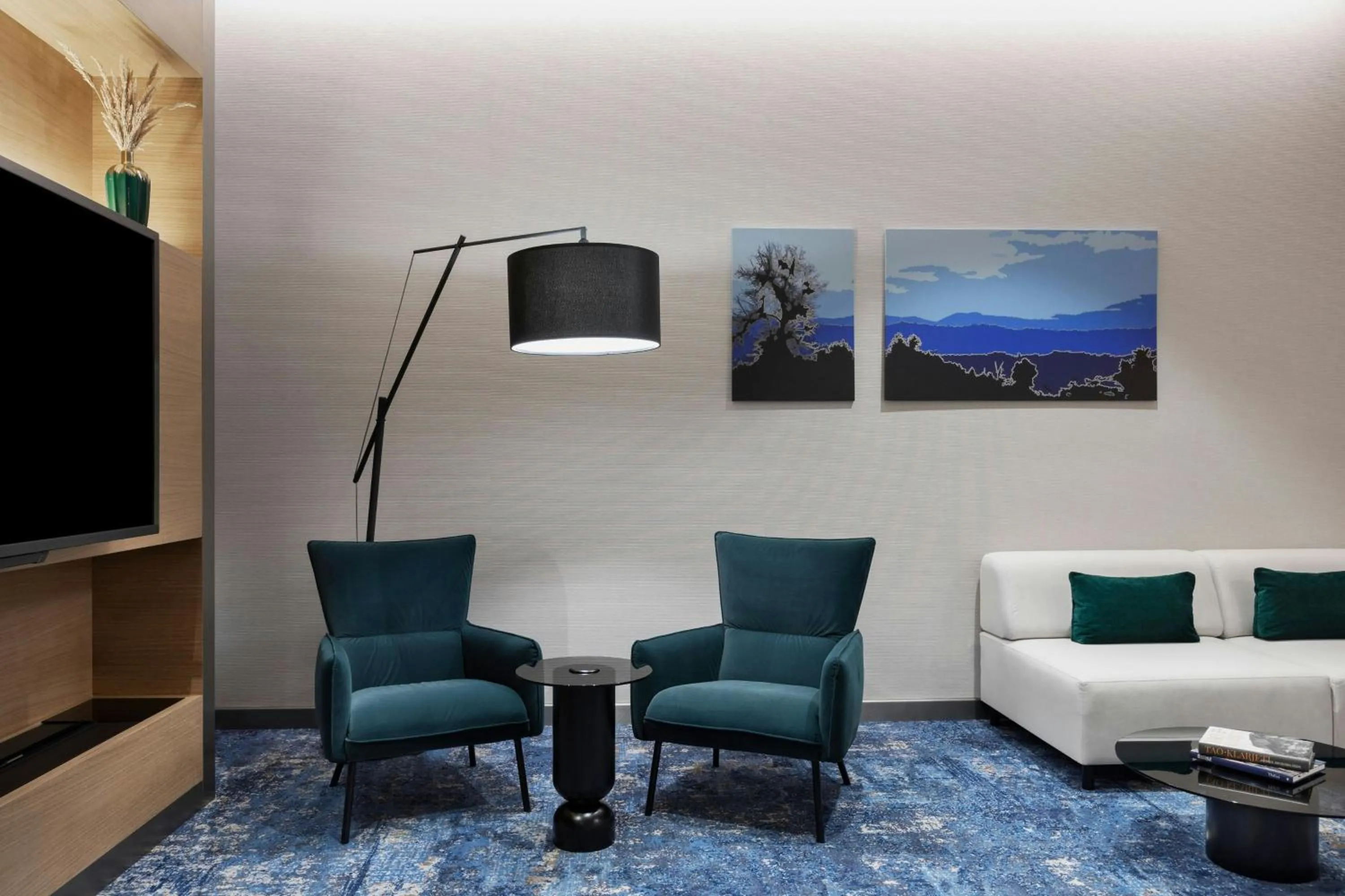 Meeting/conference room in Courtyard by Marriott Batumi