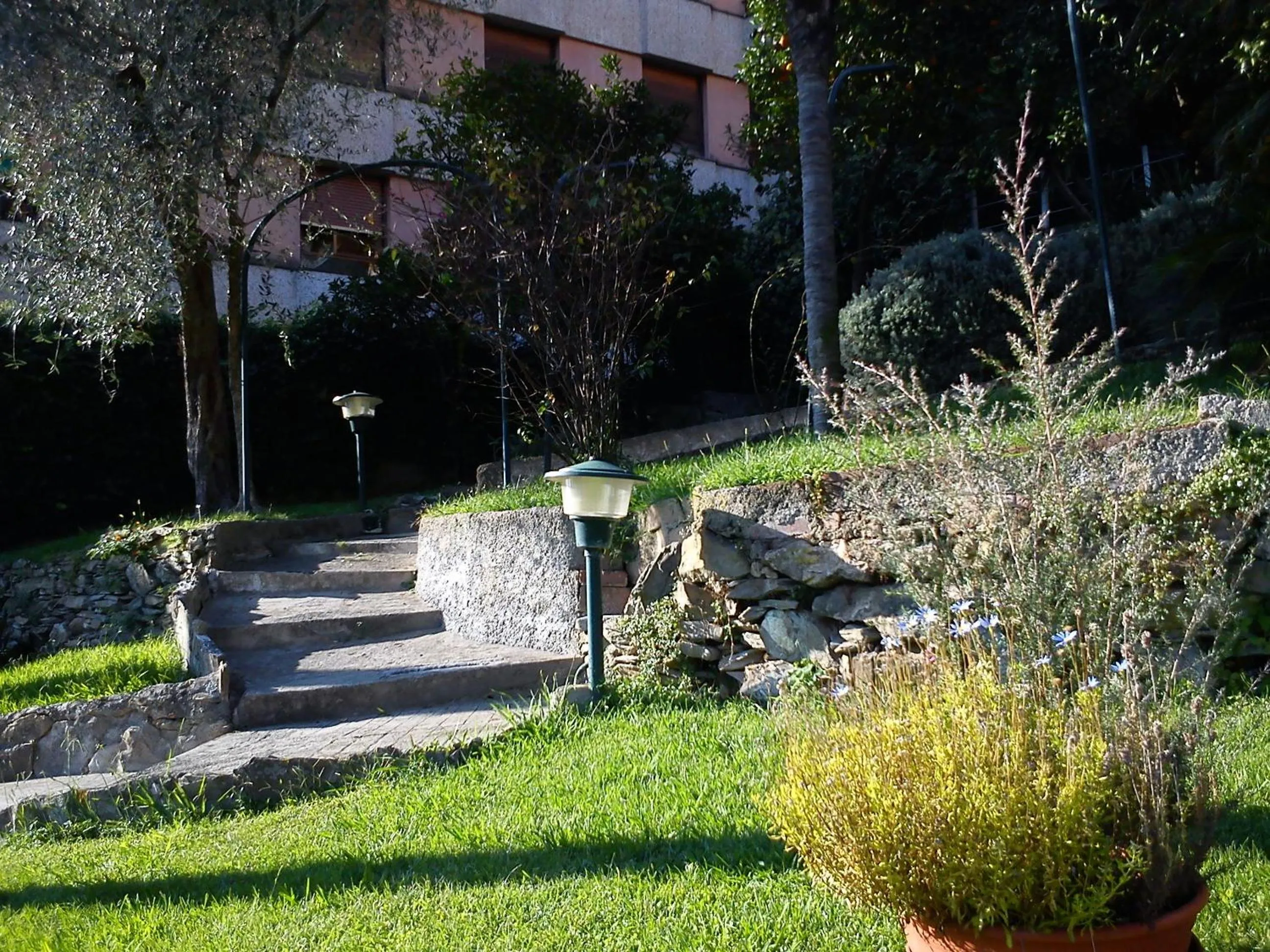 Garden in Hotel Canali - Le Cinque Terre