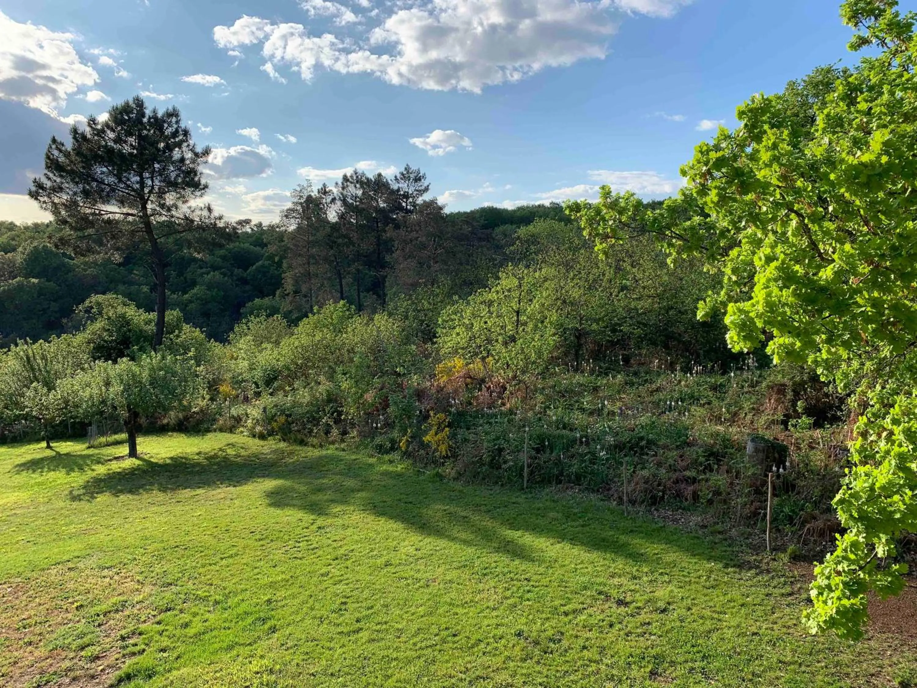 Spring in La Maison des Oiseaux