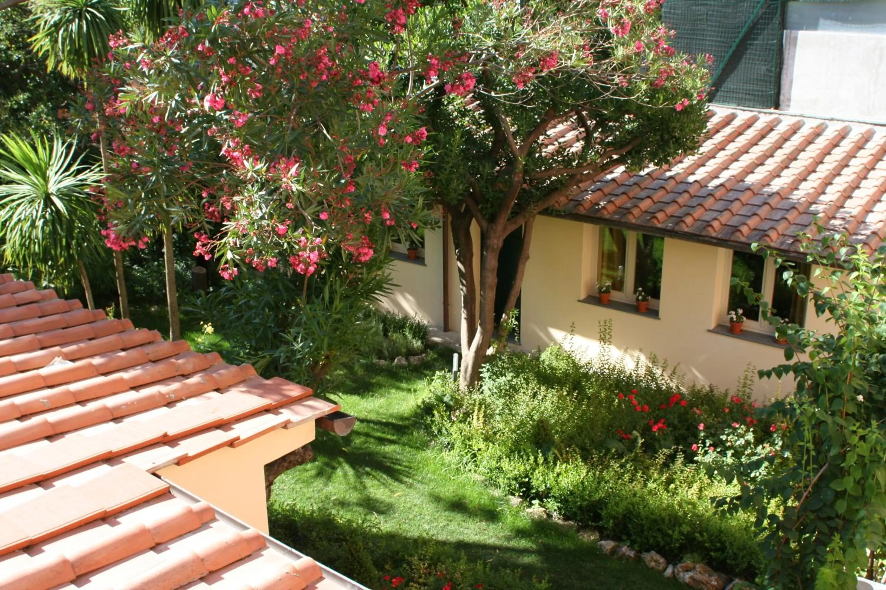 Garden in Hotel Novecento