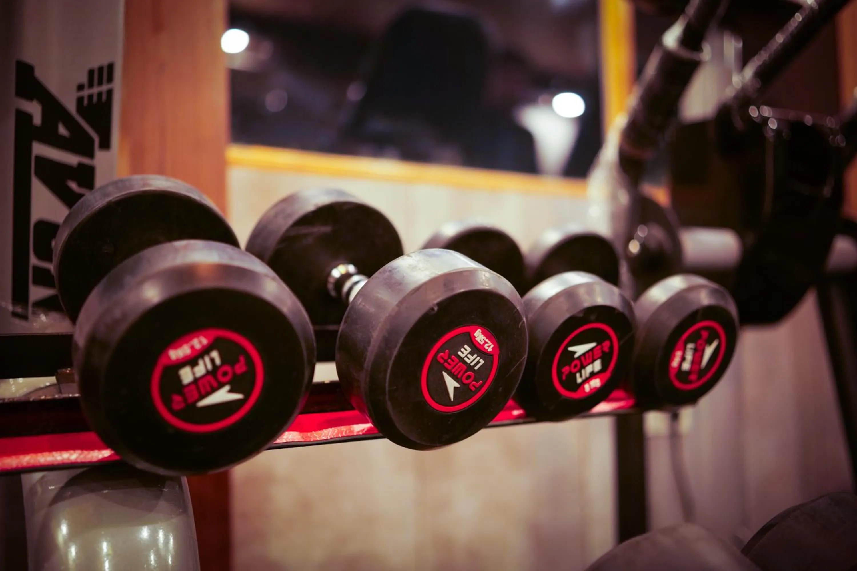 Fitness centre/facilities in Effotel By Sayaji Dehradun