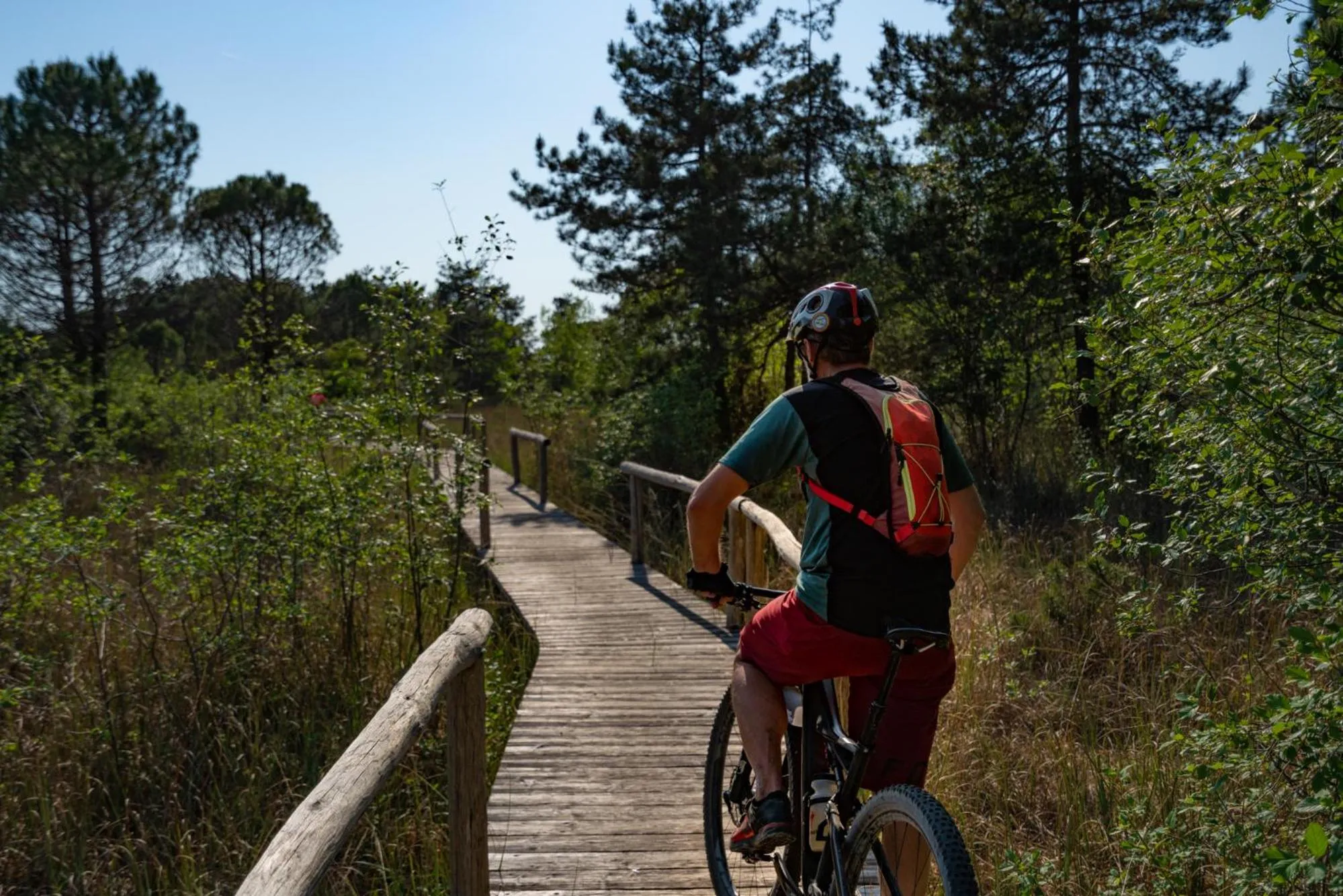 Cycling in Hotel San Michele