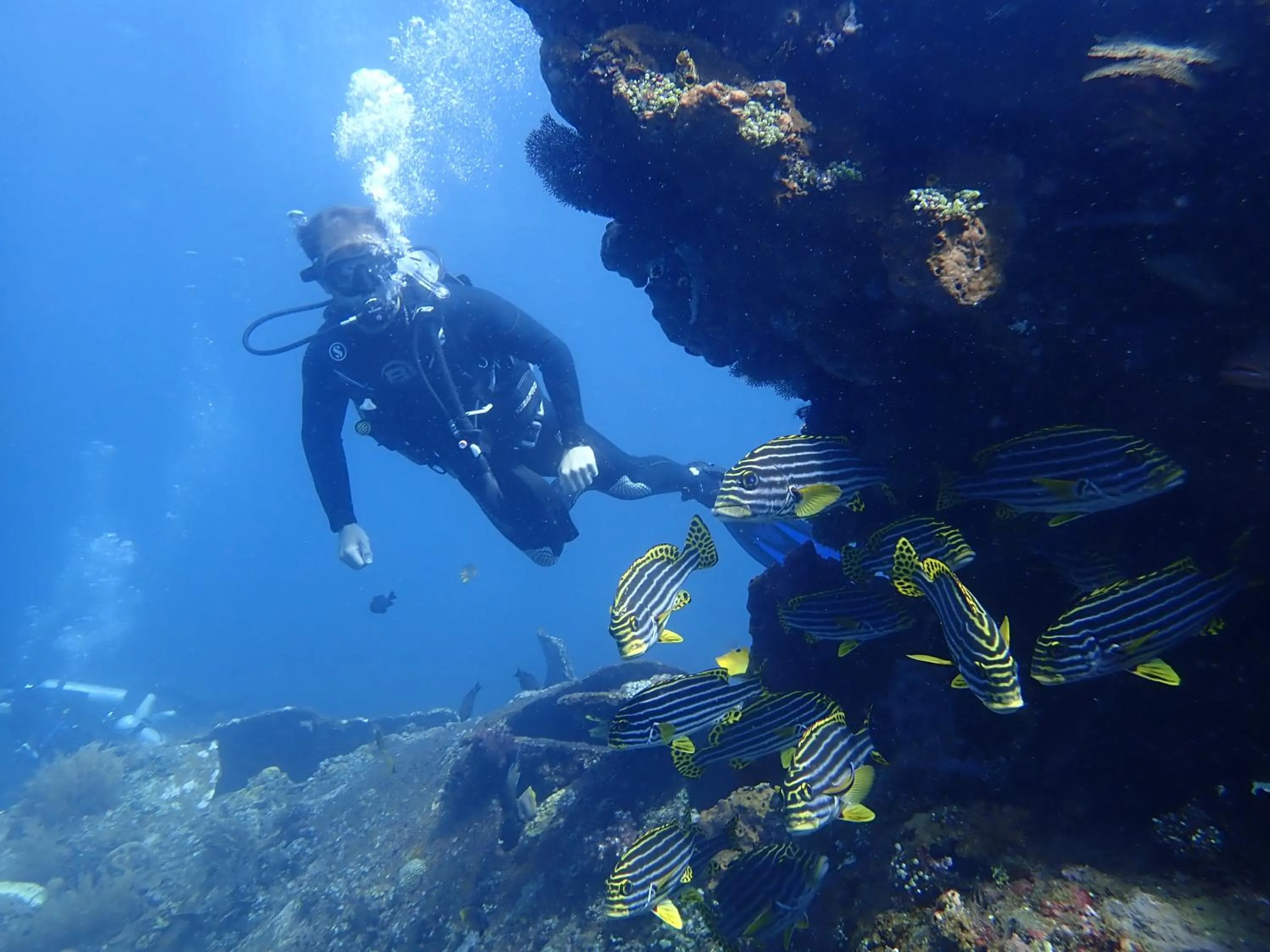 Diving in Palm Springs Bali Dive Resort