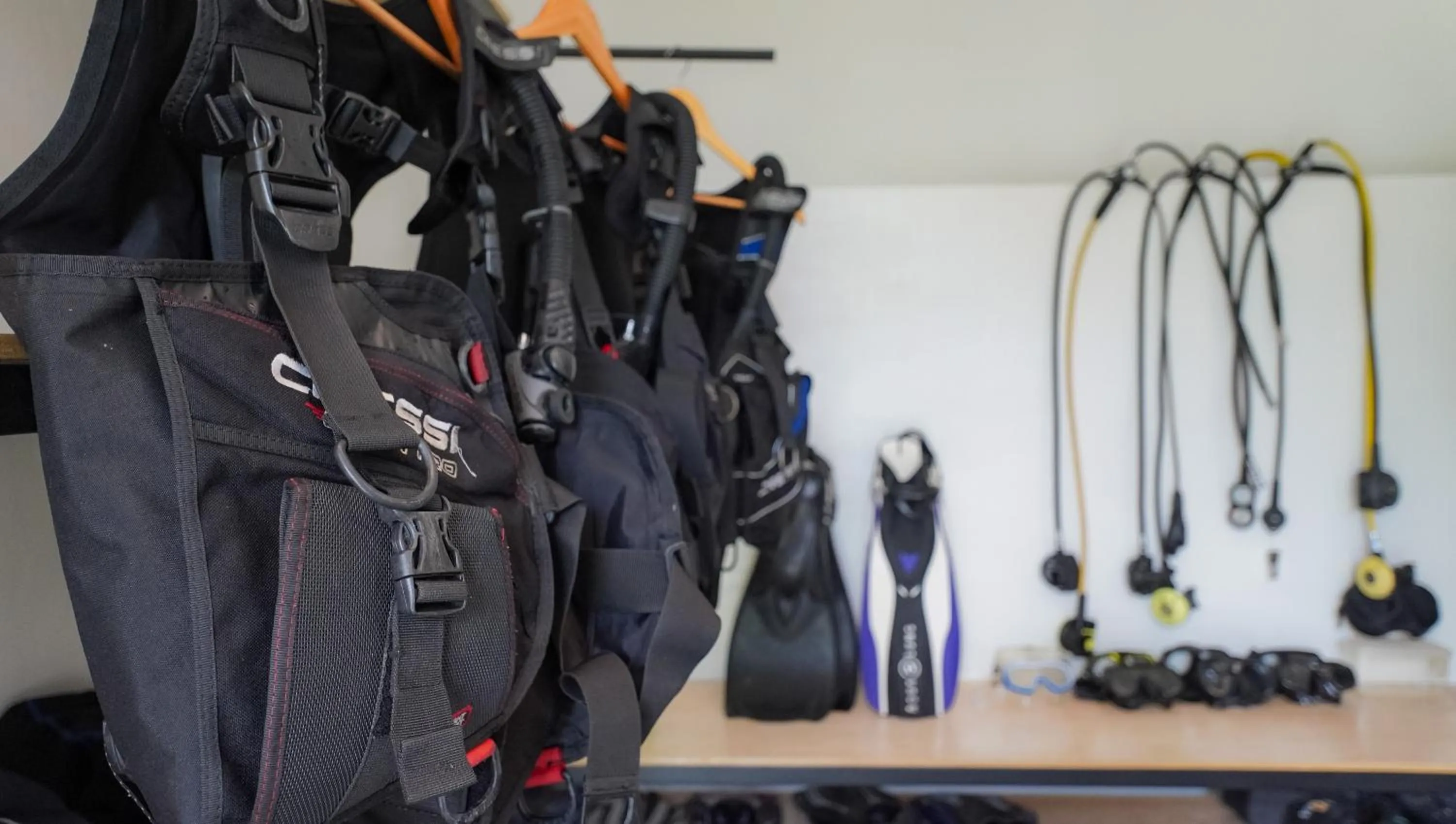 Diving in Palm Springs Bali Dive Resort