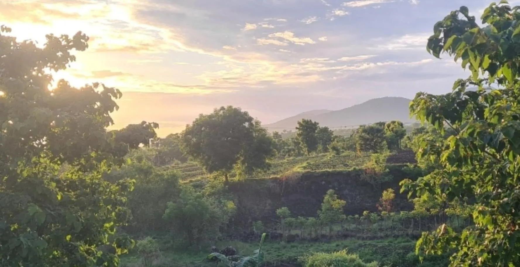 Natural landscape in Palm Springs Bali Dive Resort
