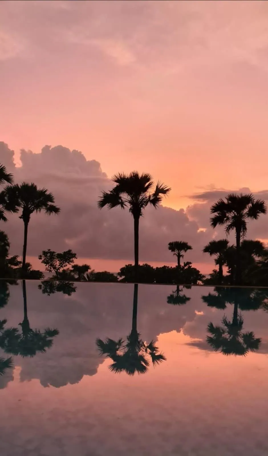 Swimming pool in Palm Springs Bali Dive Resort