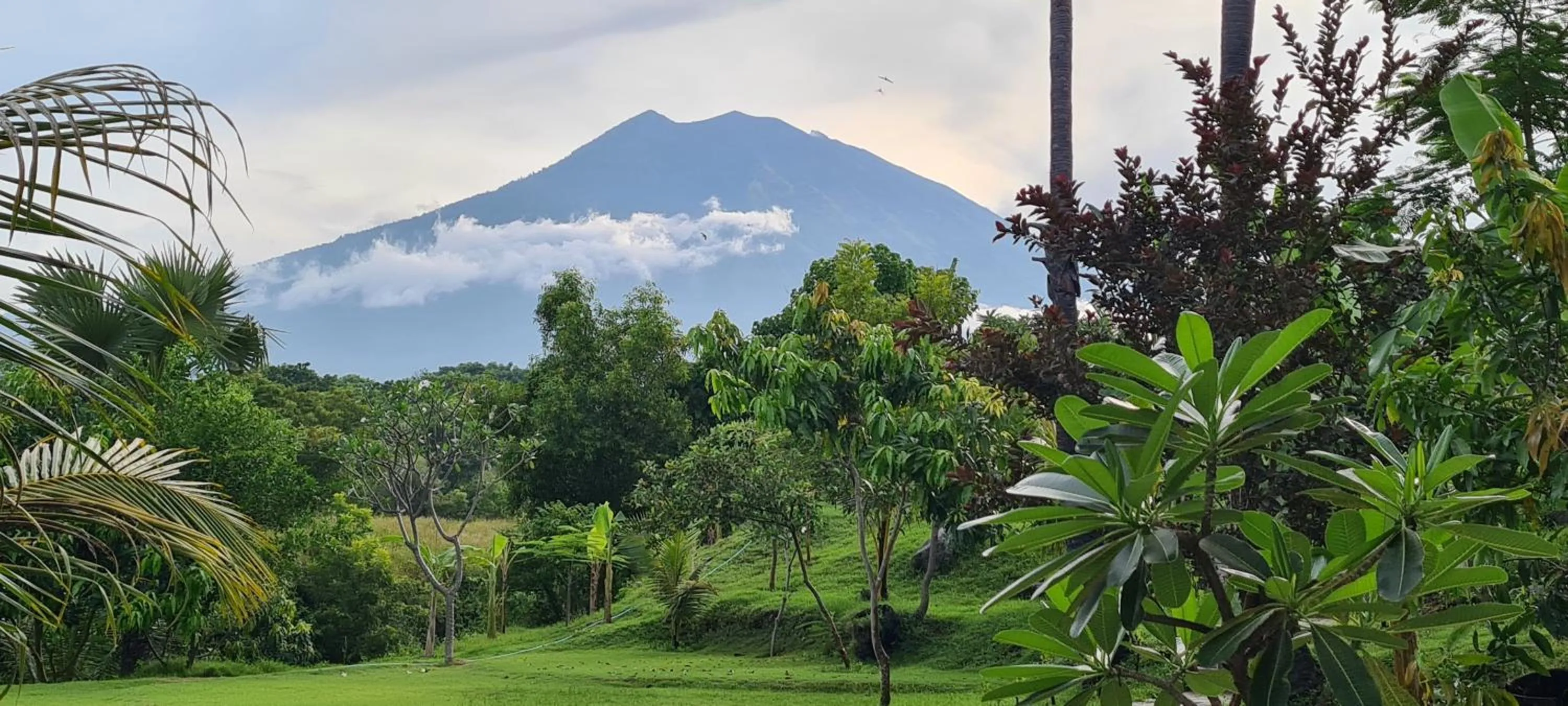 Mountain view in Palm Springs Bali Dive Resort