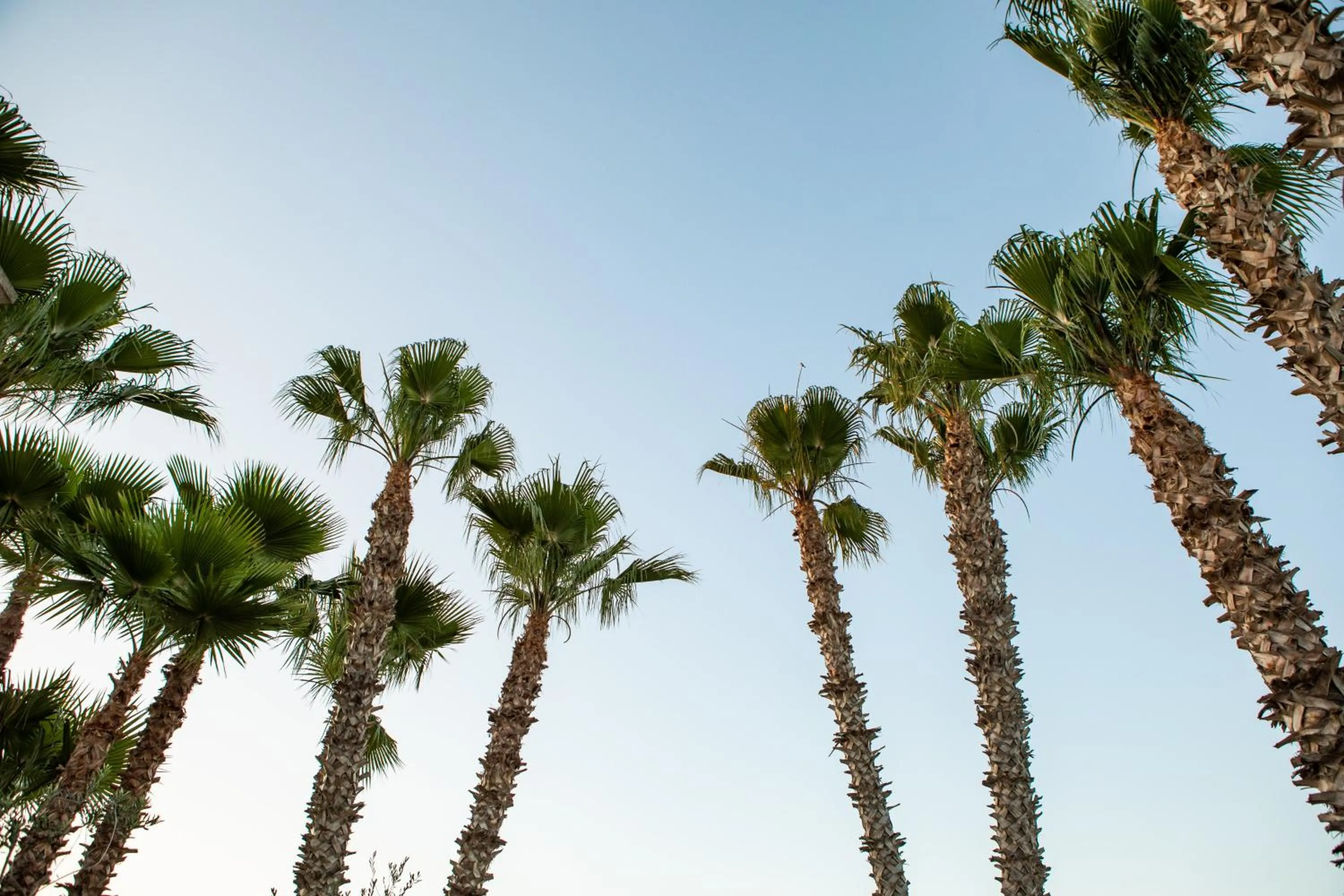 Natural landscape in Giardino Dei Pini - Boutique Hotel