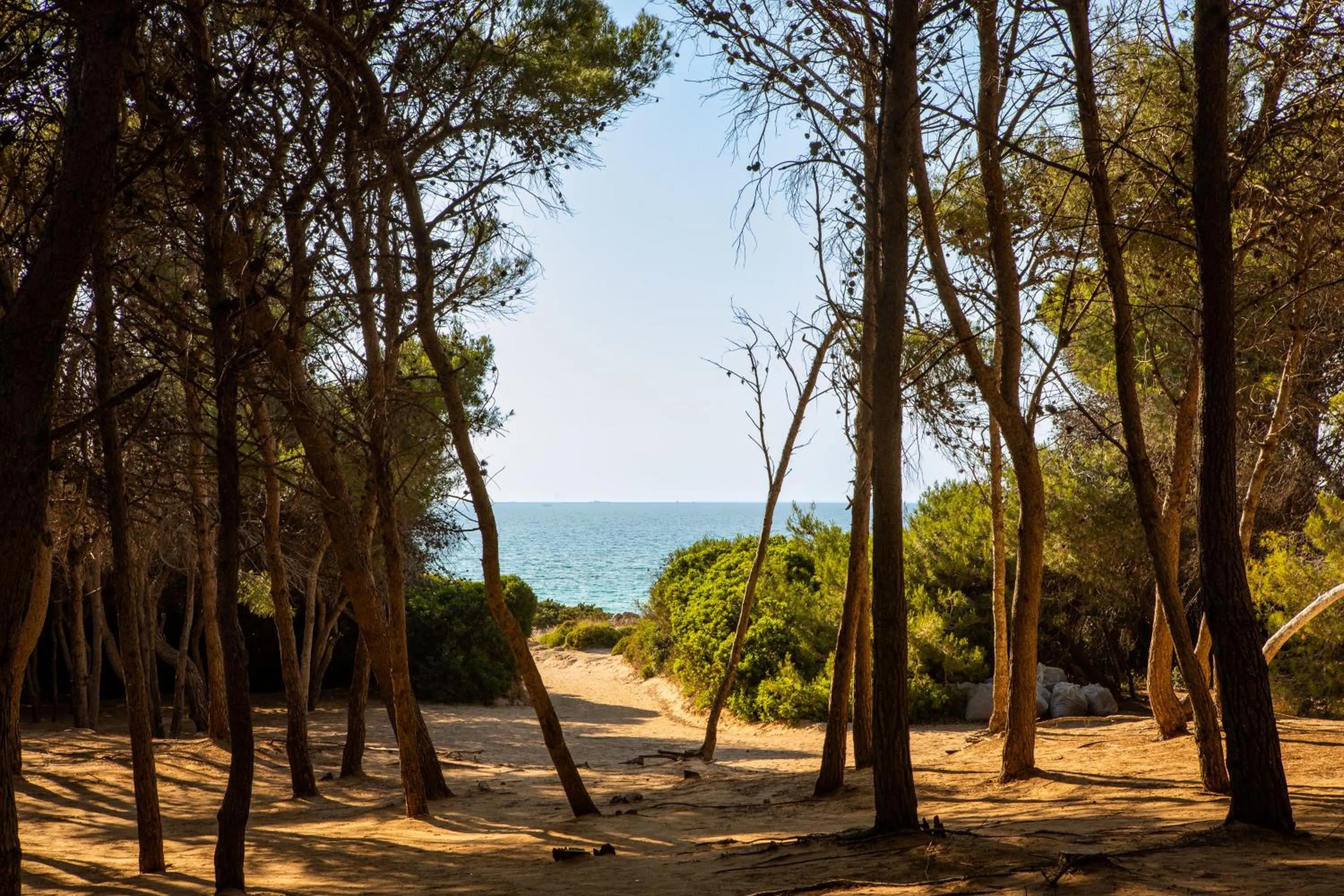 Nearby landmark in Giardino Dei Pini - Boutique Hotel