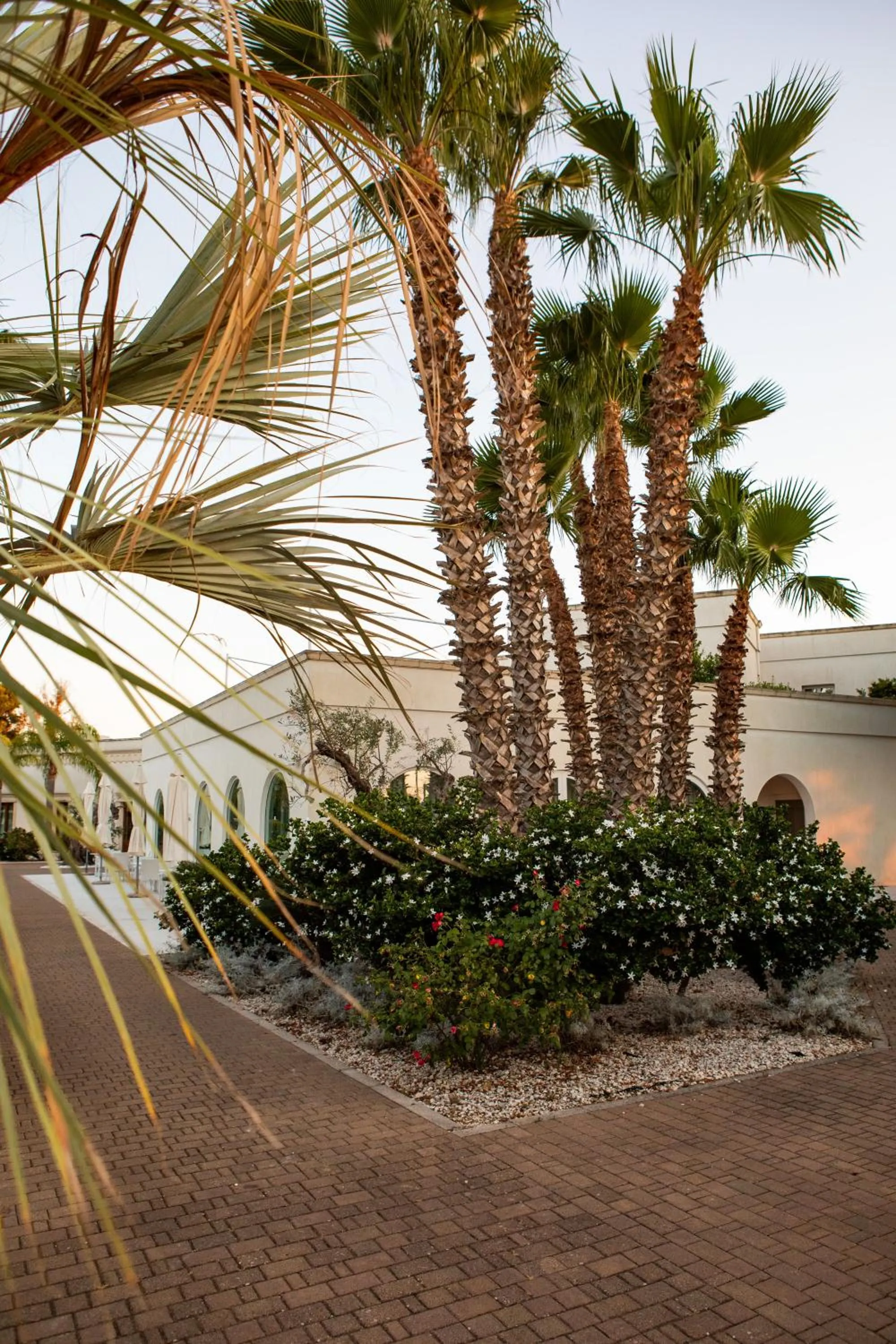 Garden in Giardino Dei Pini - Boutique Hotel