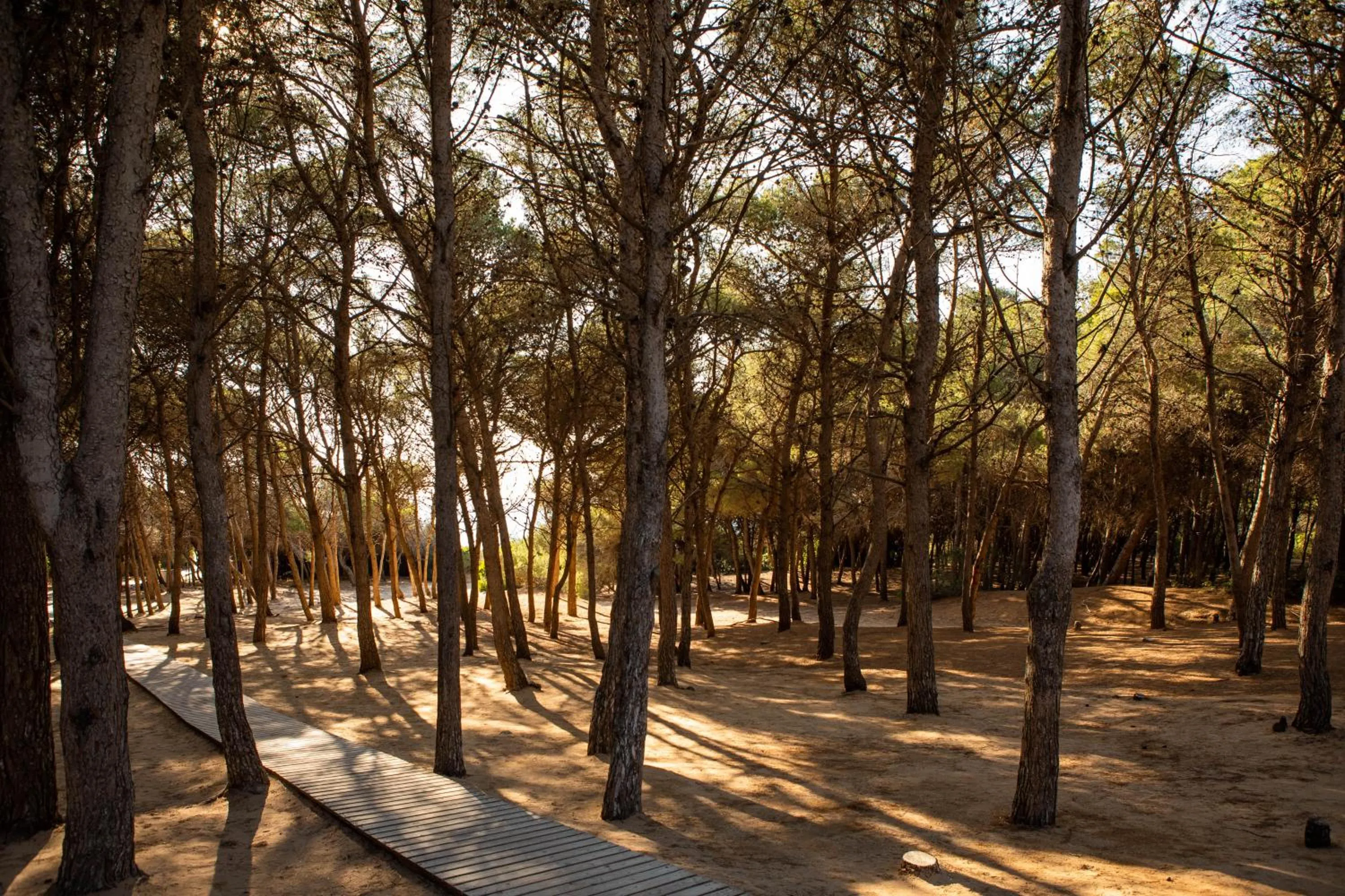 Natural landscape in Giardino Dei Pini - Boutique Hotel