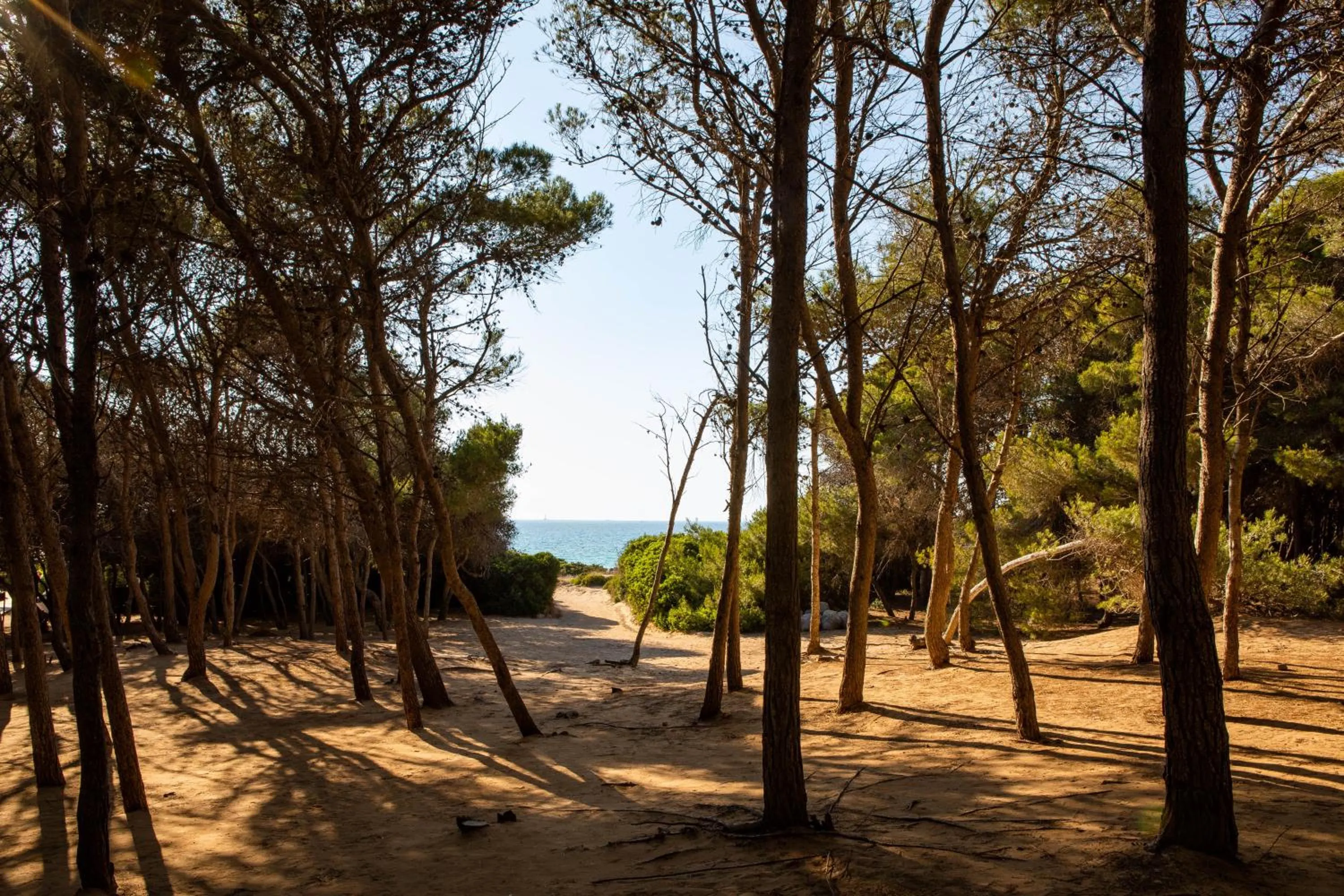 Natural landscape in Giardino Dei Pini - Boutique Hotel
