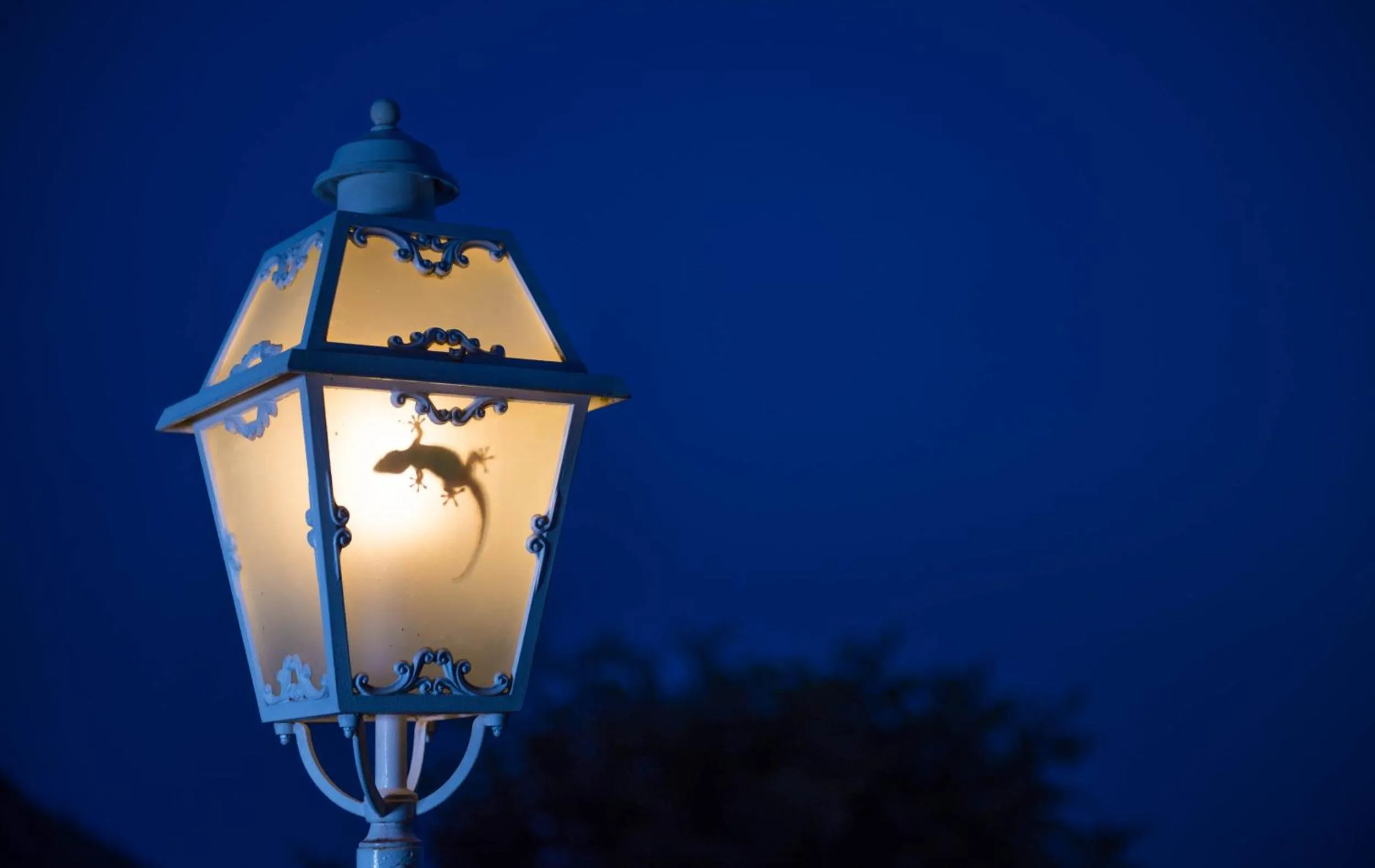 View (from property/room) in Romantic Hotel & Restaurant Villa Cheta Elite