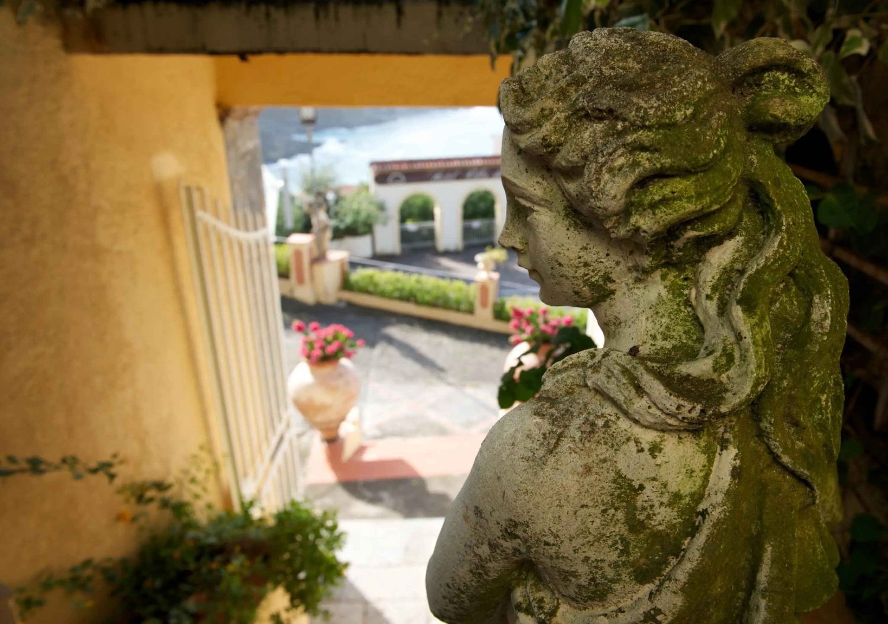 Garden in Romantic Hotel & Restaurant Villa Cheta Elite