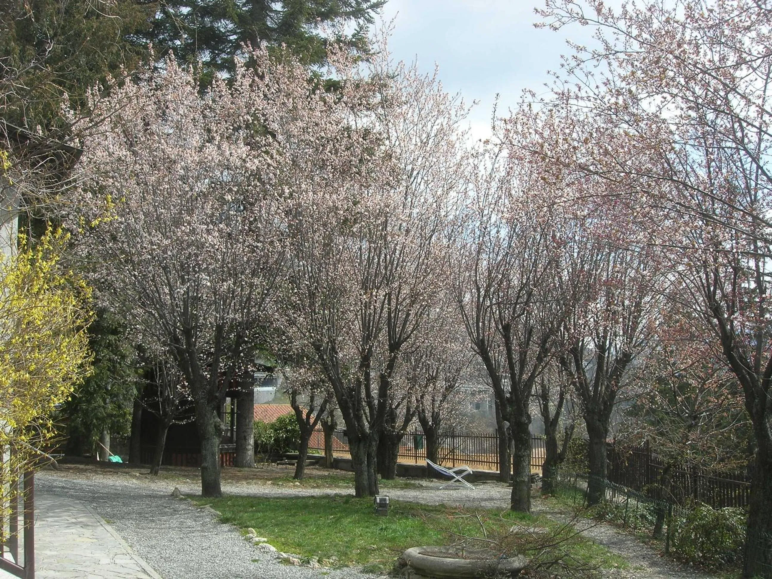 Facade/entrance in Residence Villa Linda