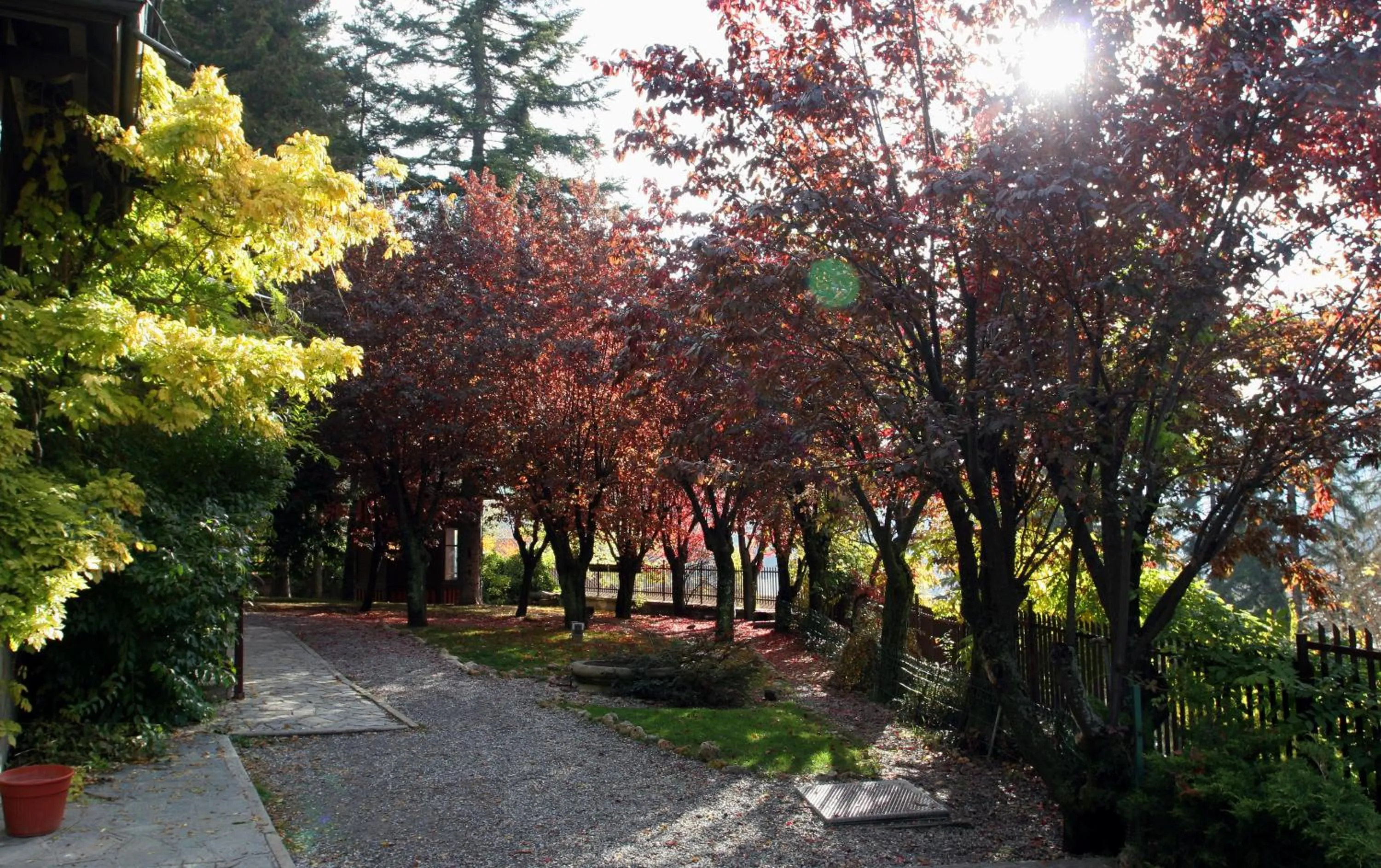 Garden in Residence Villa Linda